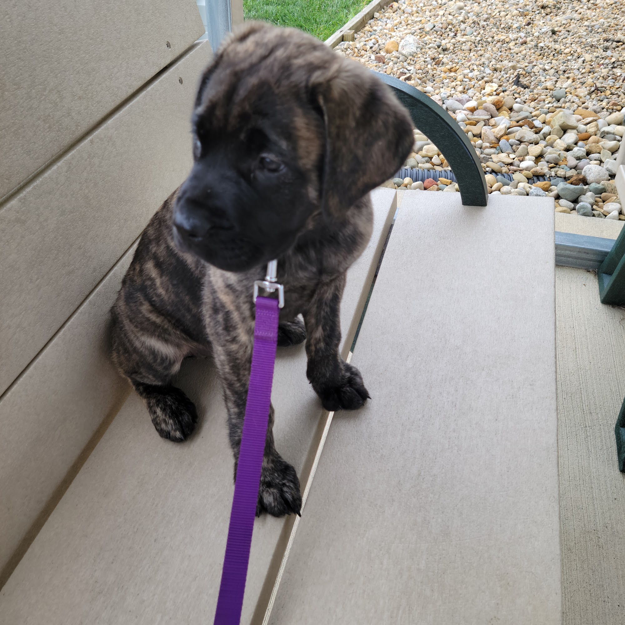 New Winchester Animal Clinic Danville