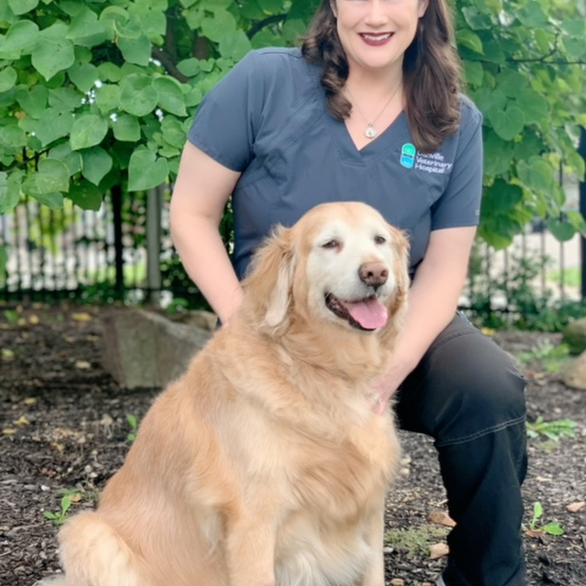 Danville Veterinary Hospital Danville