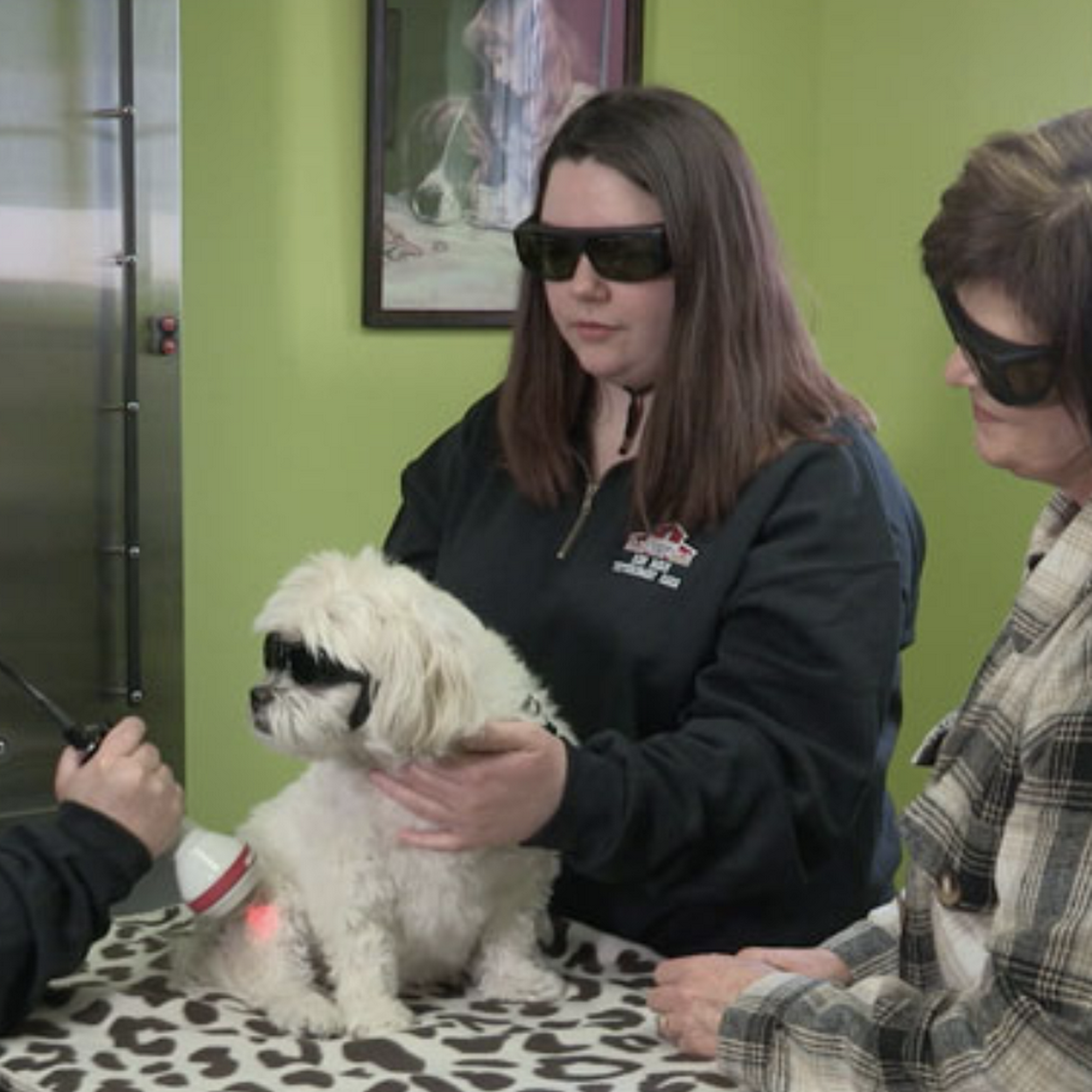 Red Barn Veterinary Care Decatur