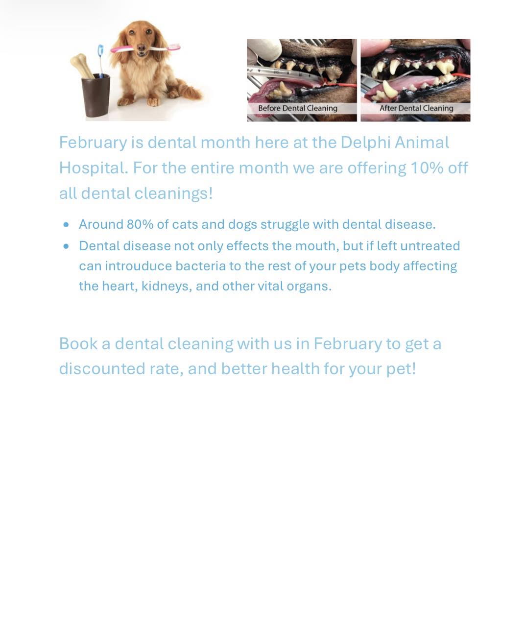 Delphi Animal Hospital Delphi