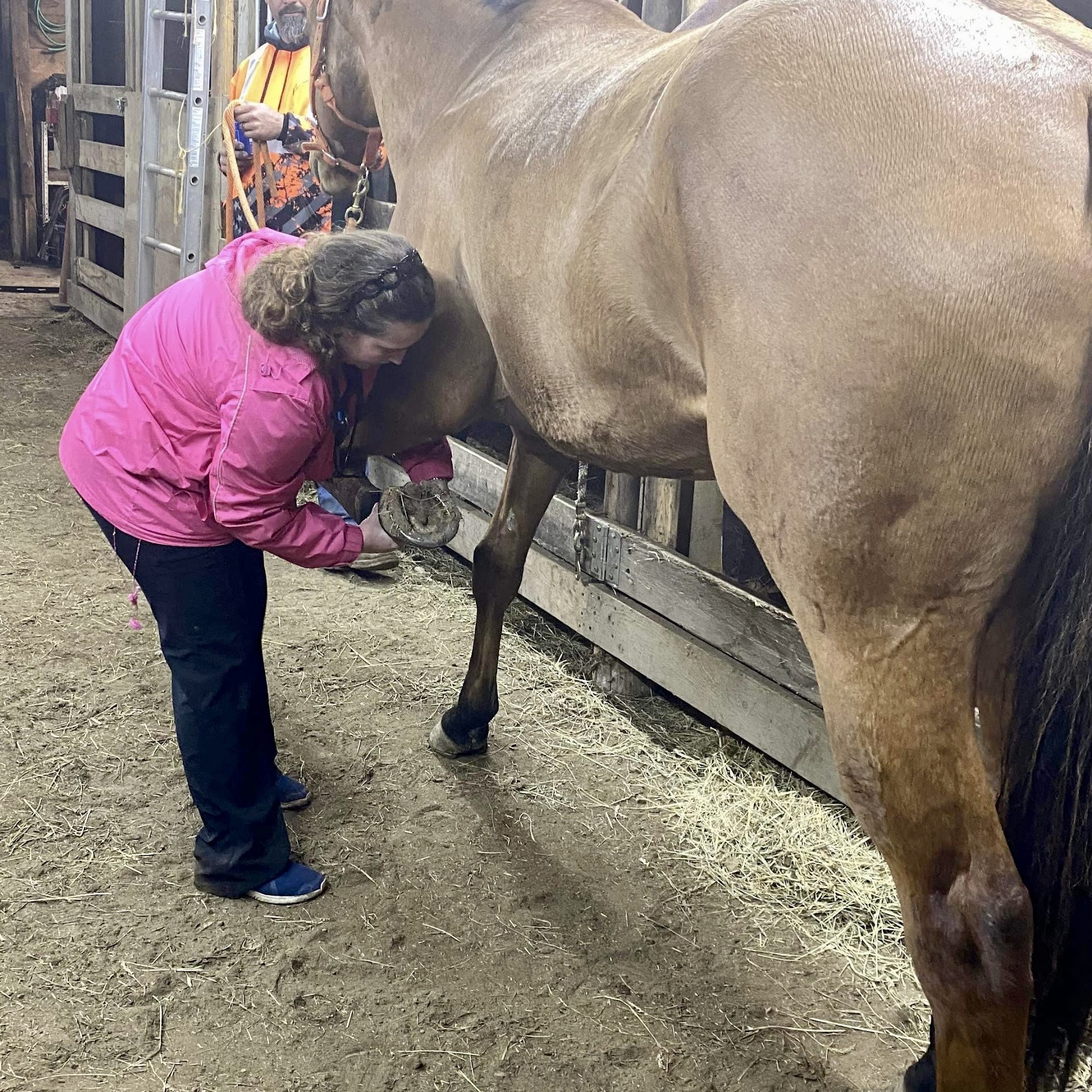 Garrett Veterinary Services Elkhart