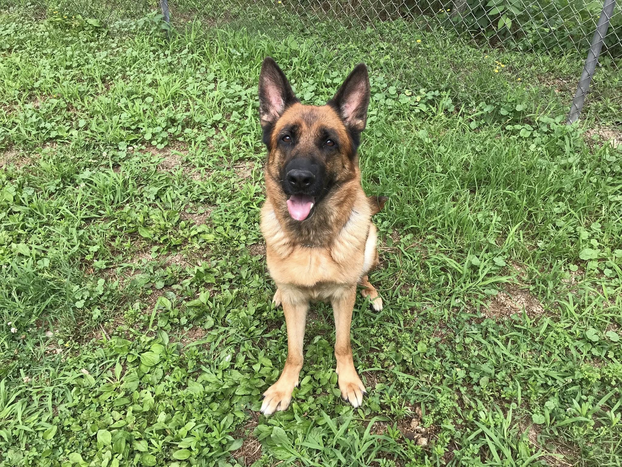 Drexler's School For Dogs, Inc. Elkhart