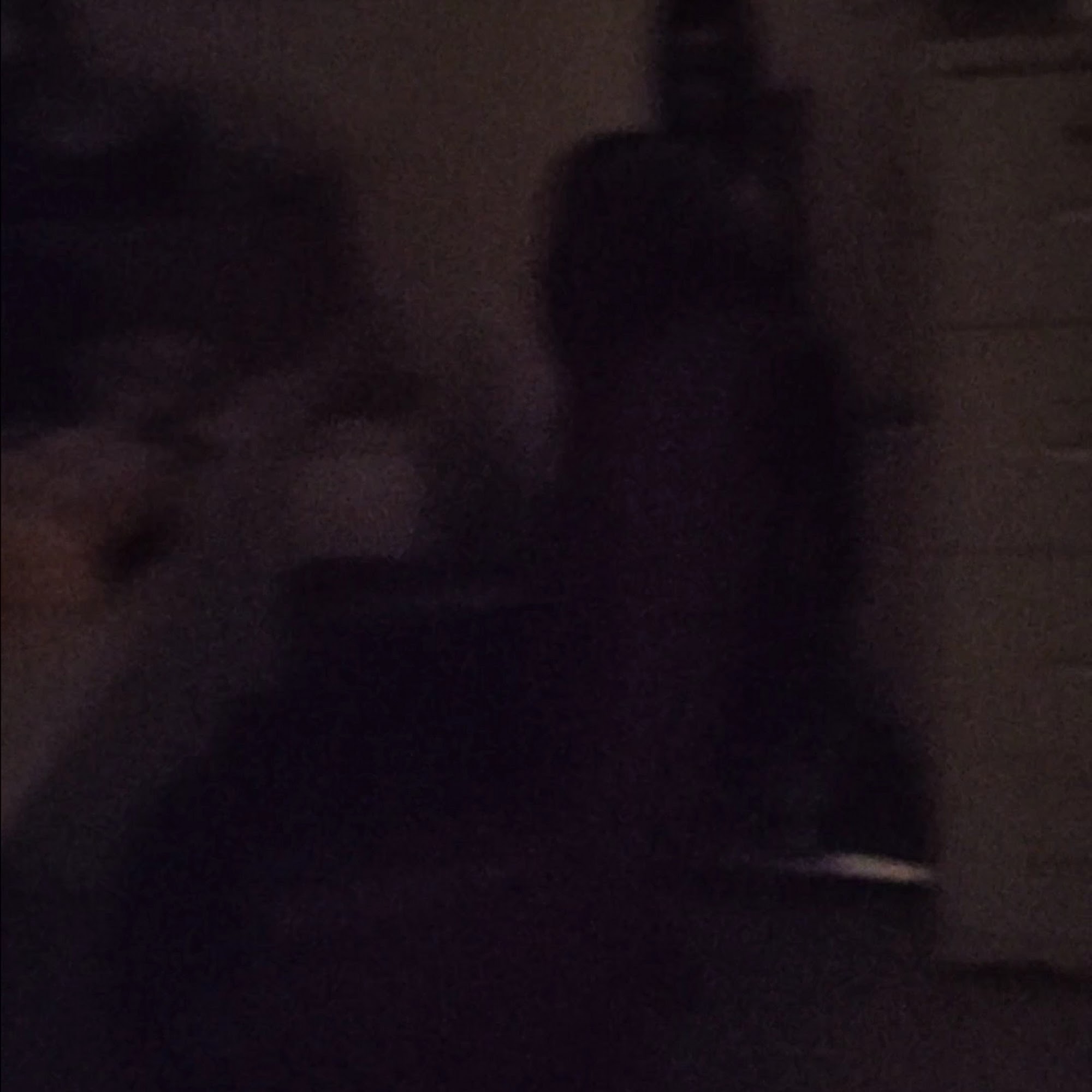 Bambino's Home Pizza