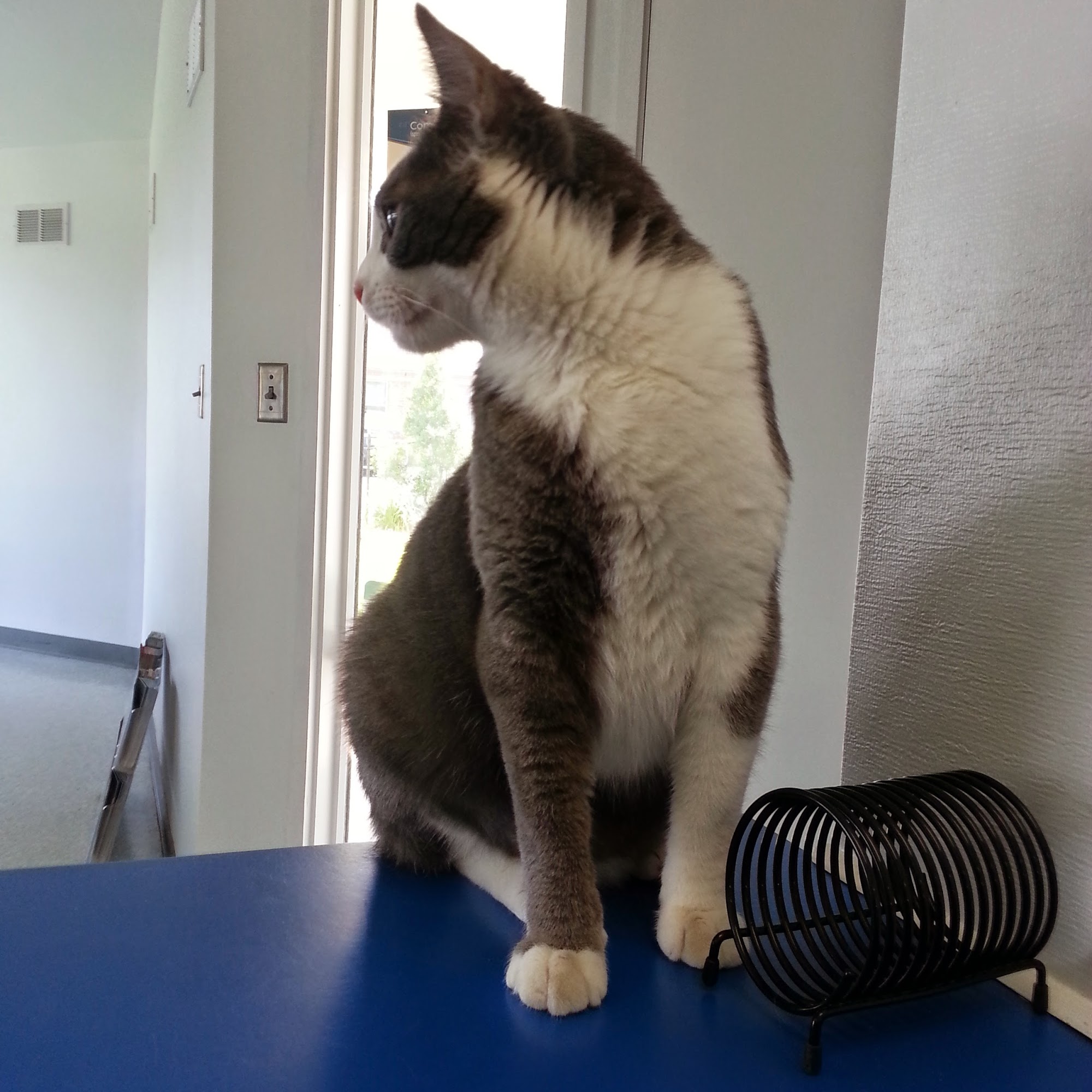 North Park Veterinary Care Evansville