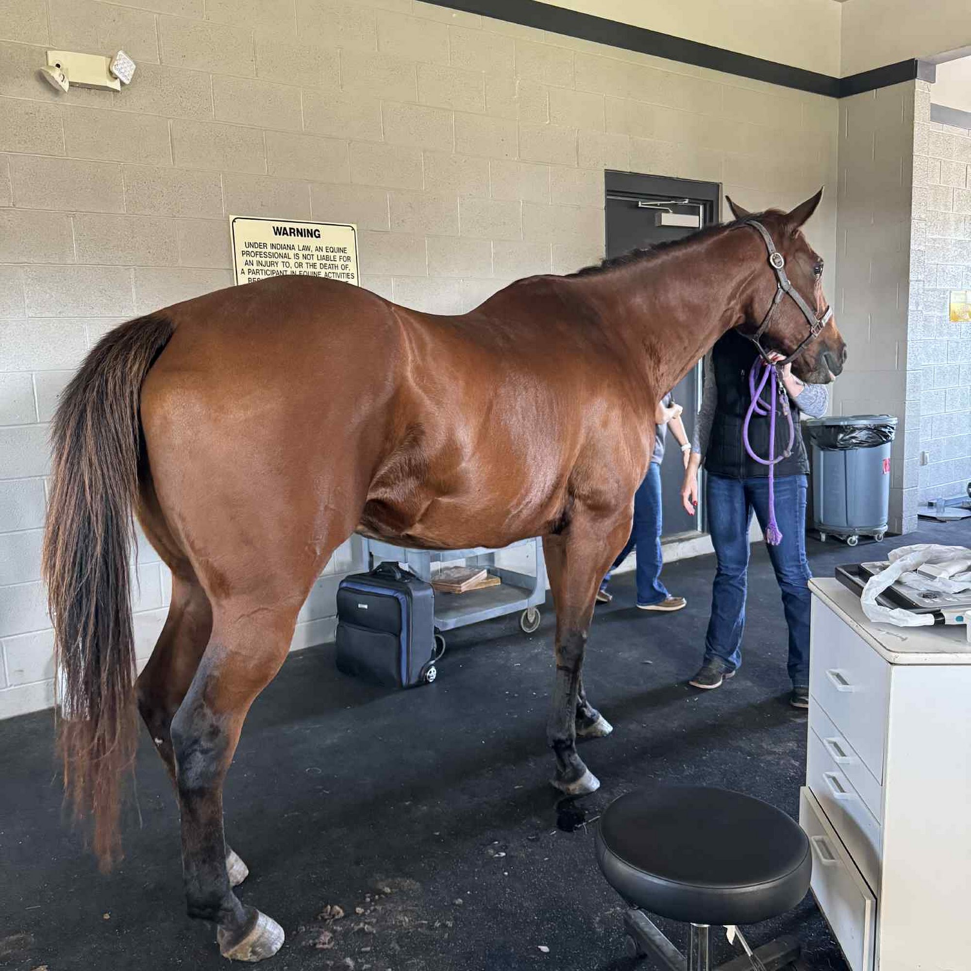Stone Ridge Equine Care Evansville