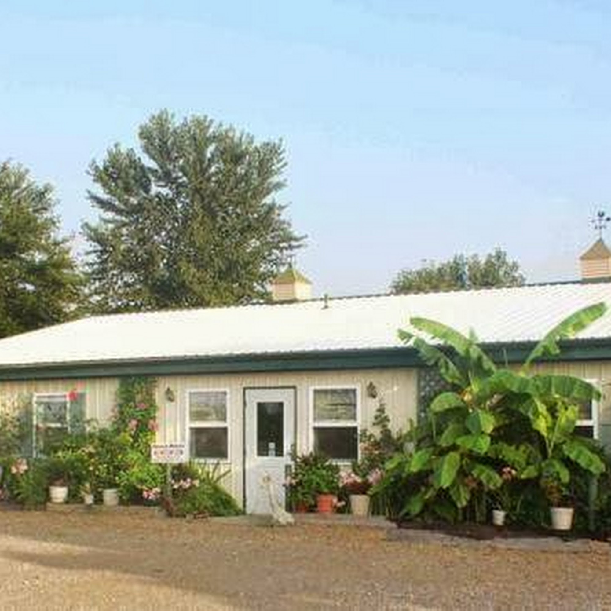 A To Z Animal Care Specialists Evansville