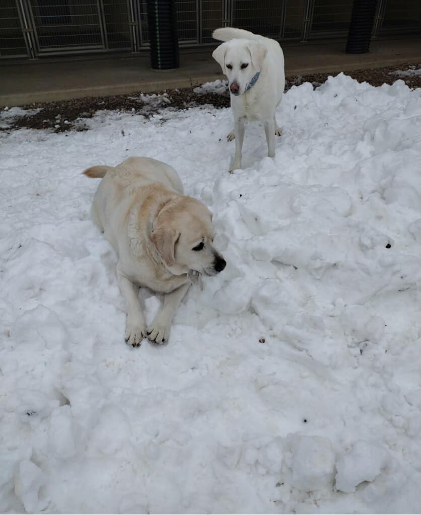Red Woof Lodge Evansville