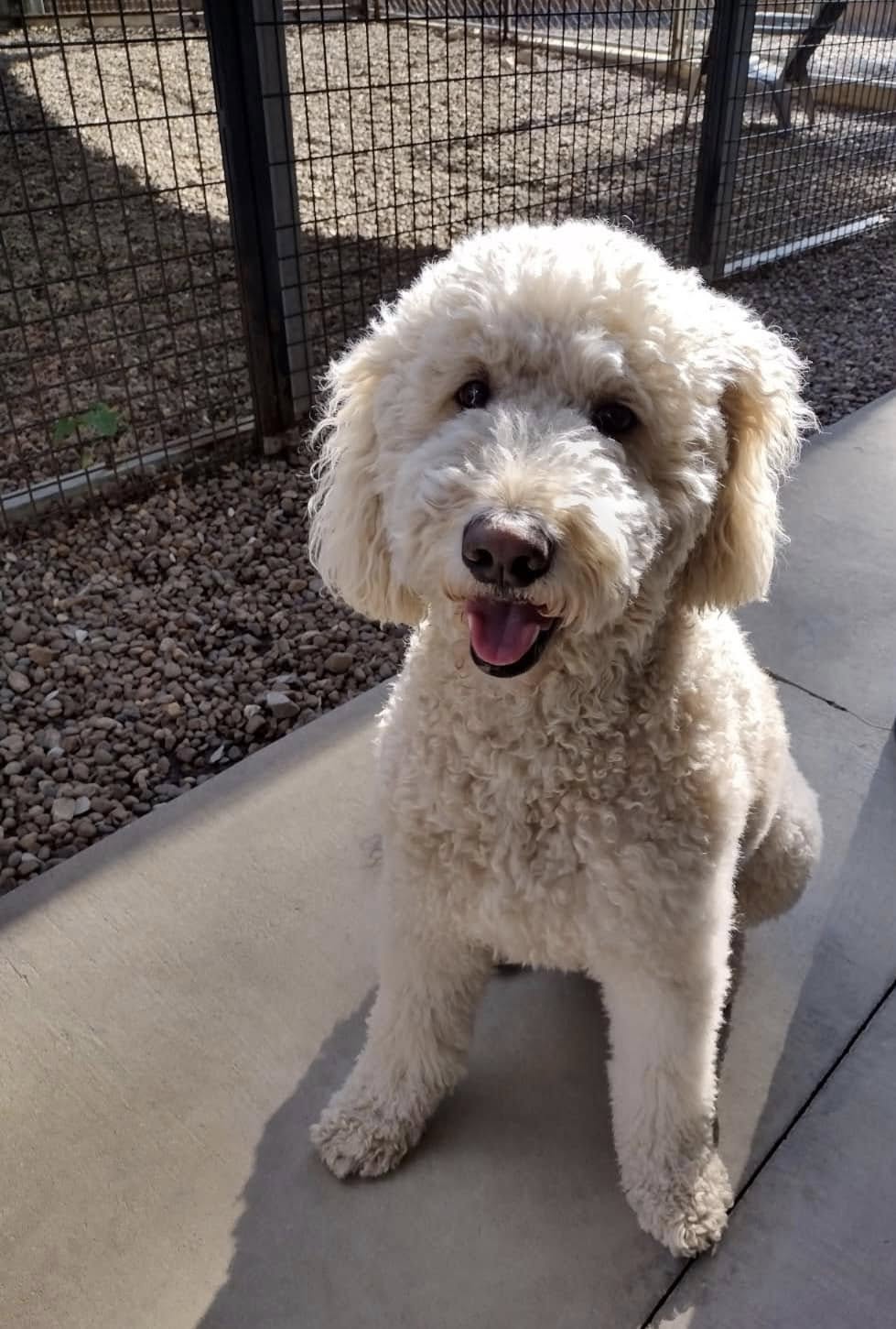 Red Woof Lodge Evansville