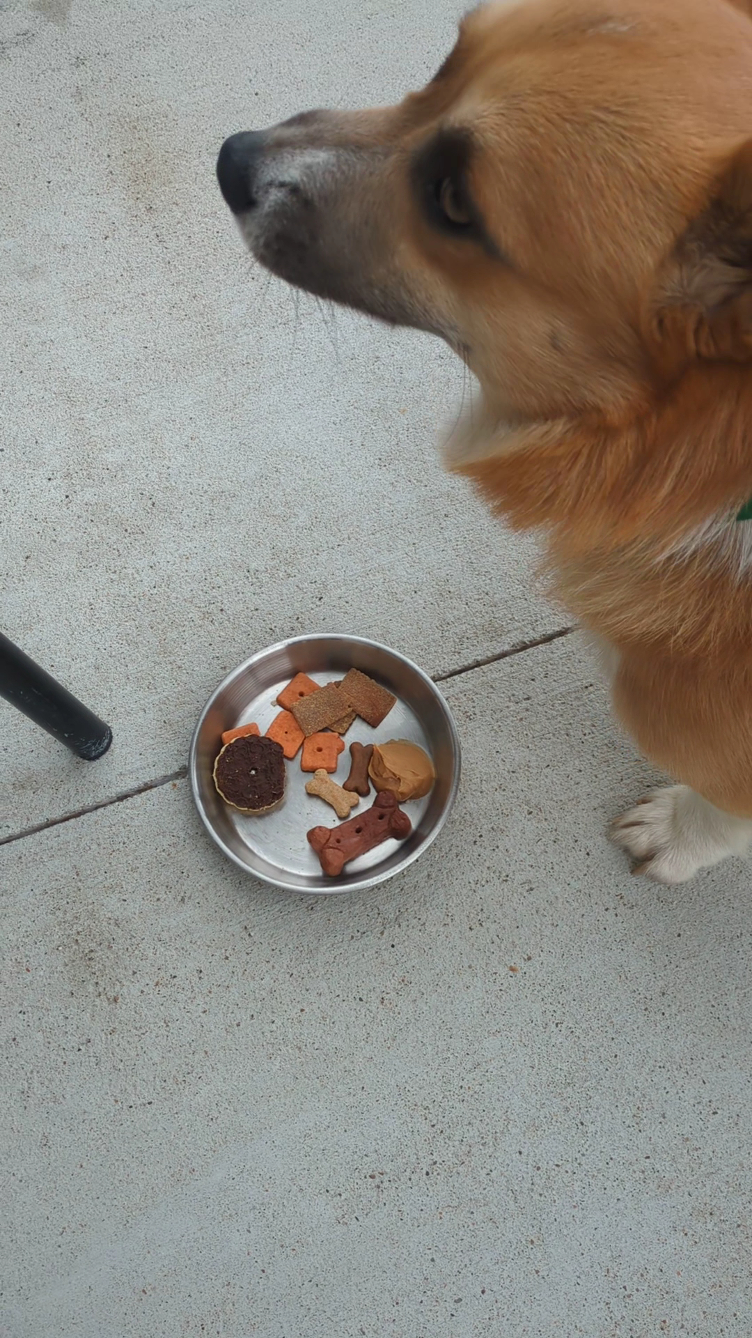 Barker Brewhouse Menu