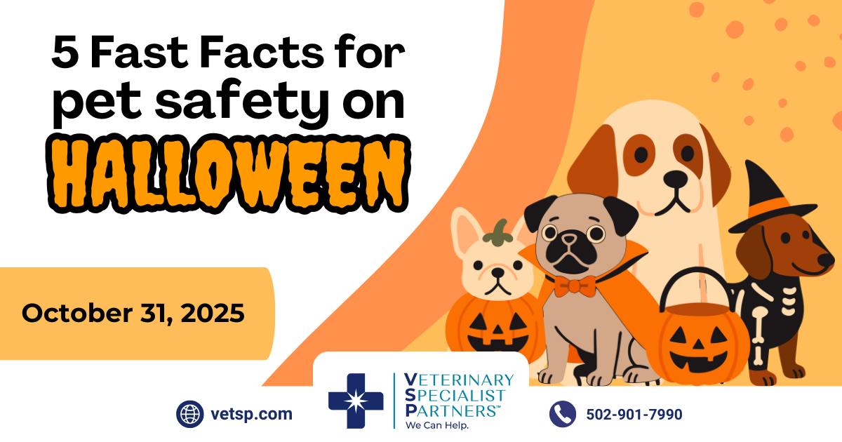 Veterinary Specialist Partners Evansville