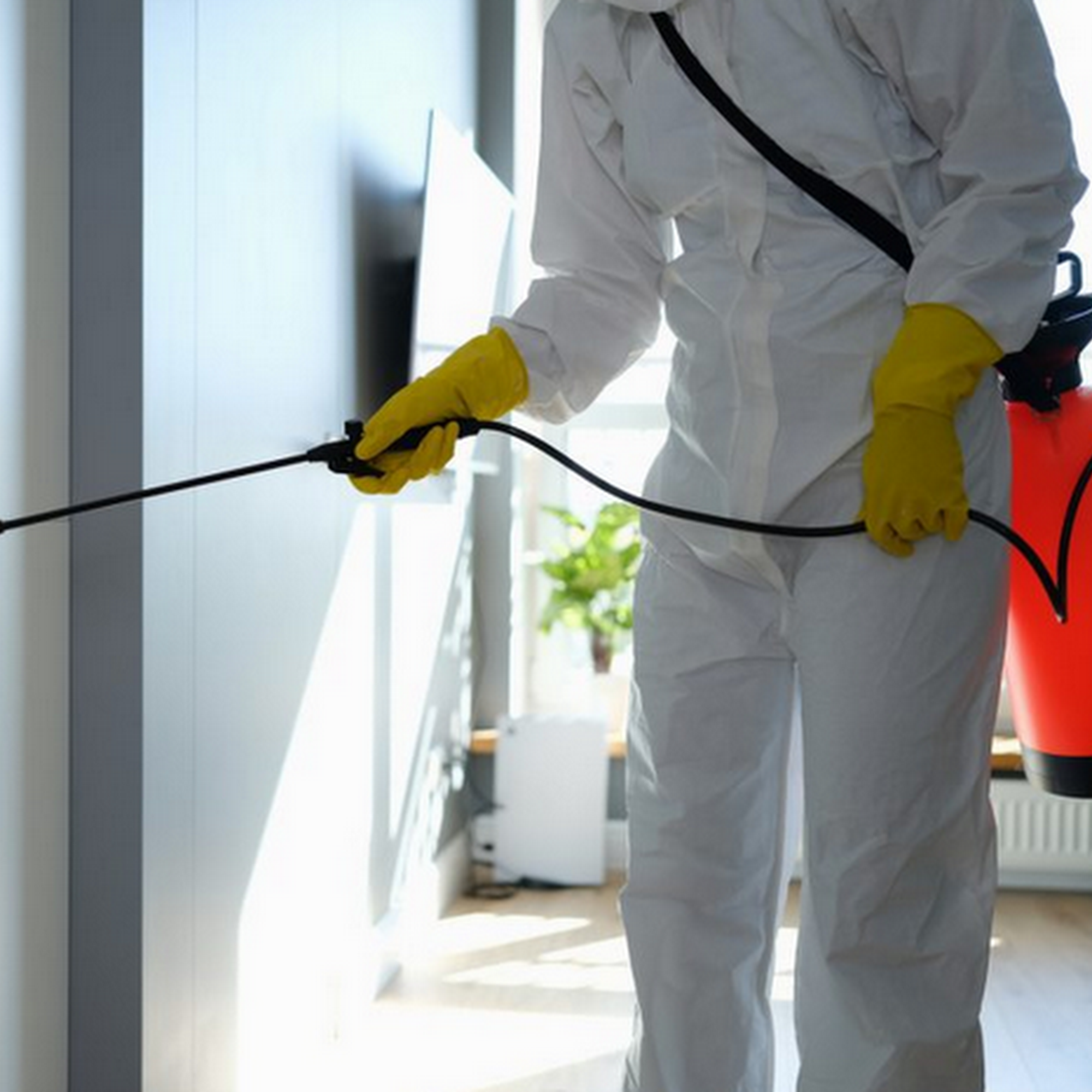 Affordable Pest Busters LLC