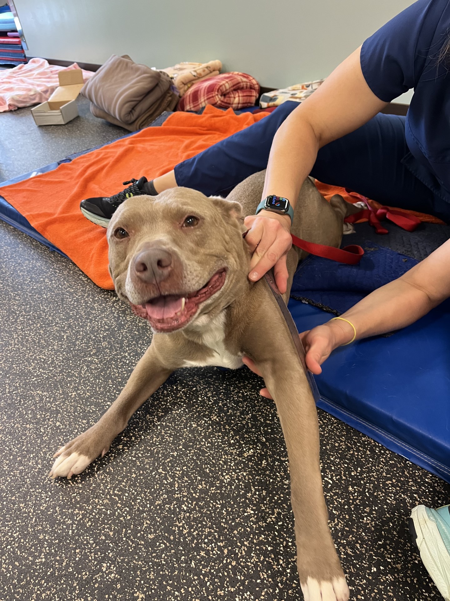 VCA Advanced Veterinary Care Center Fishers