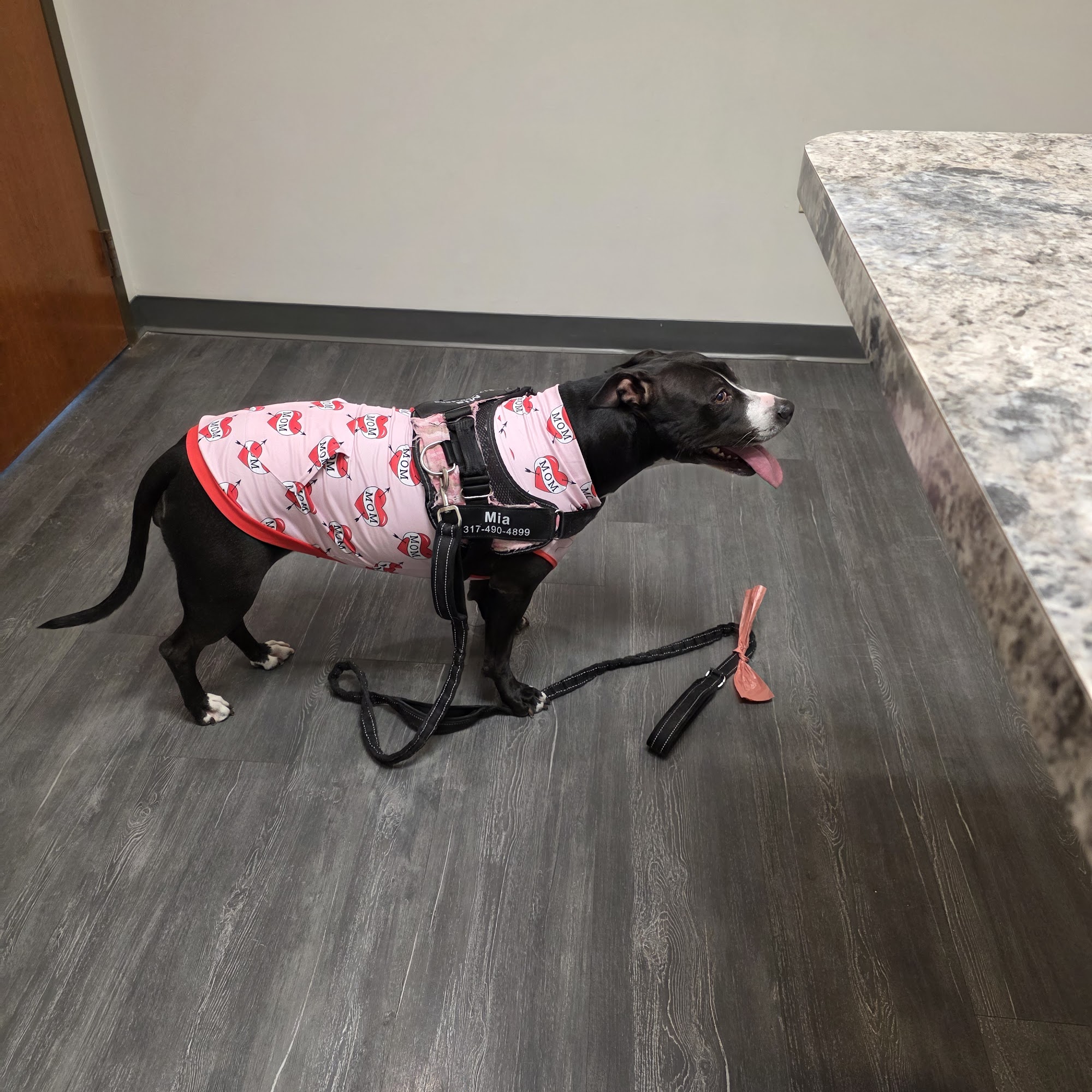 Parkside Animal Hospital Fishers