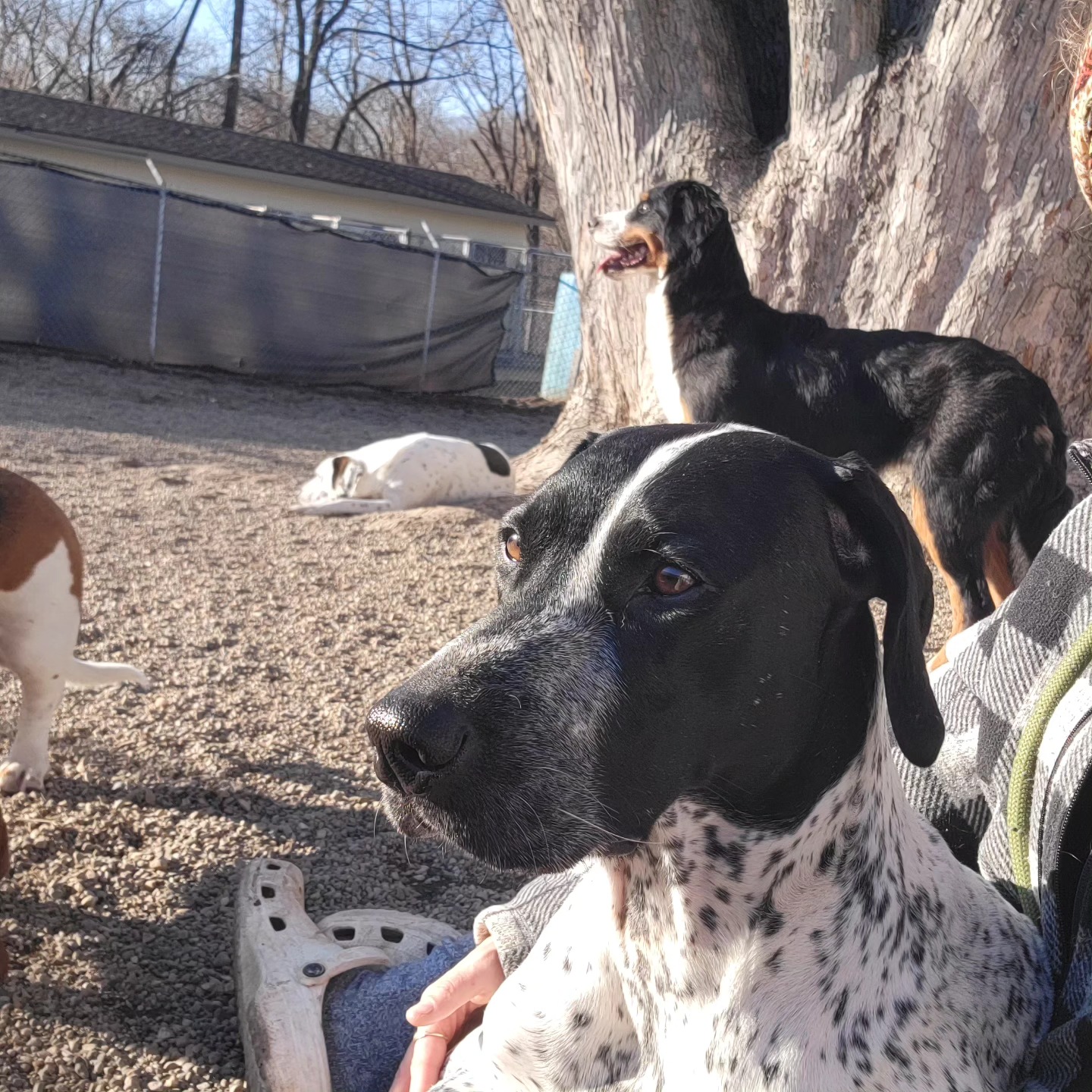 Camp Cheeney Creek Fishers