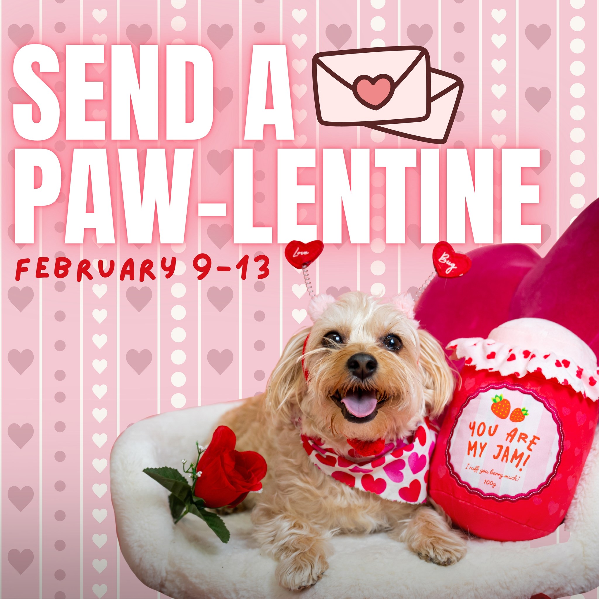 4 Paws Lodge Fishers