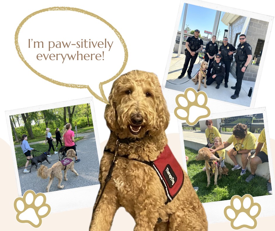 Day & Genda Funeral Home Inc, Reinke Chapel