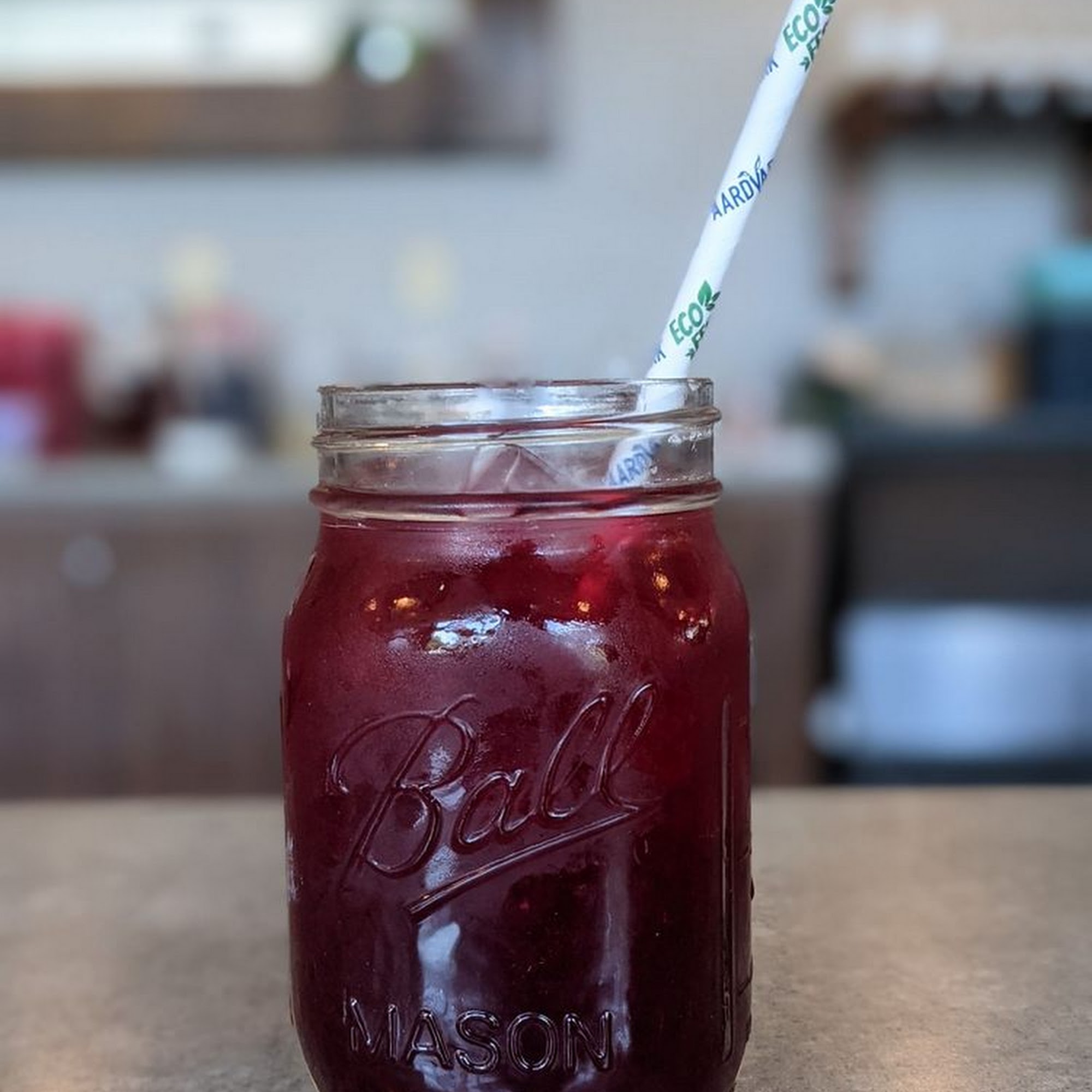 Friendly Fox Fort Wayne