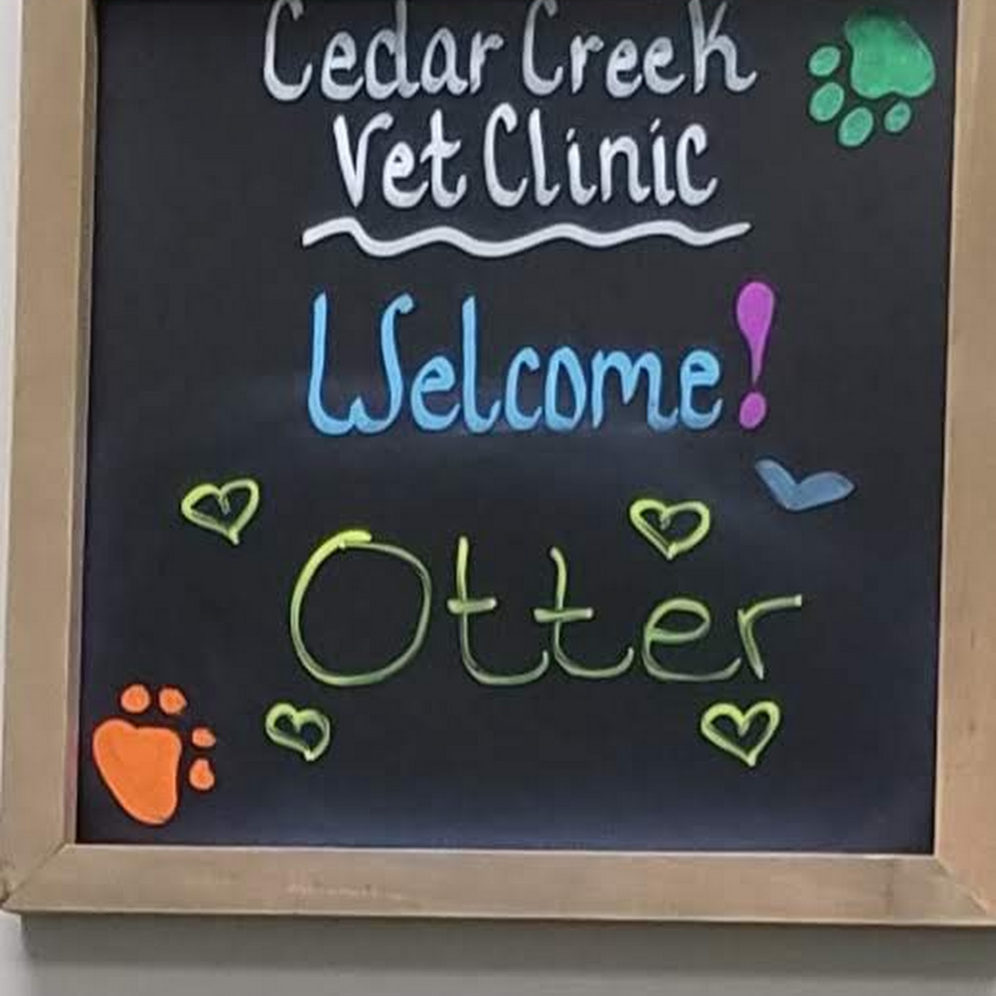 Cedar Creek Veterinary Clinic Fort Wayne