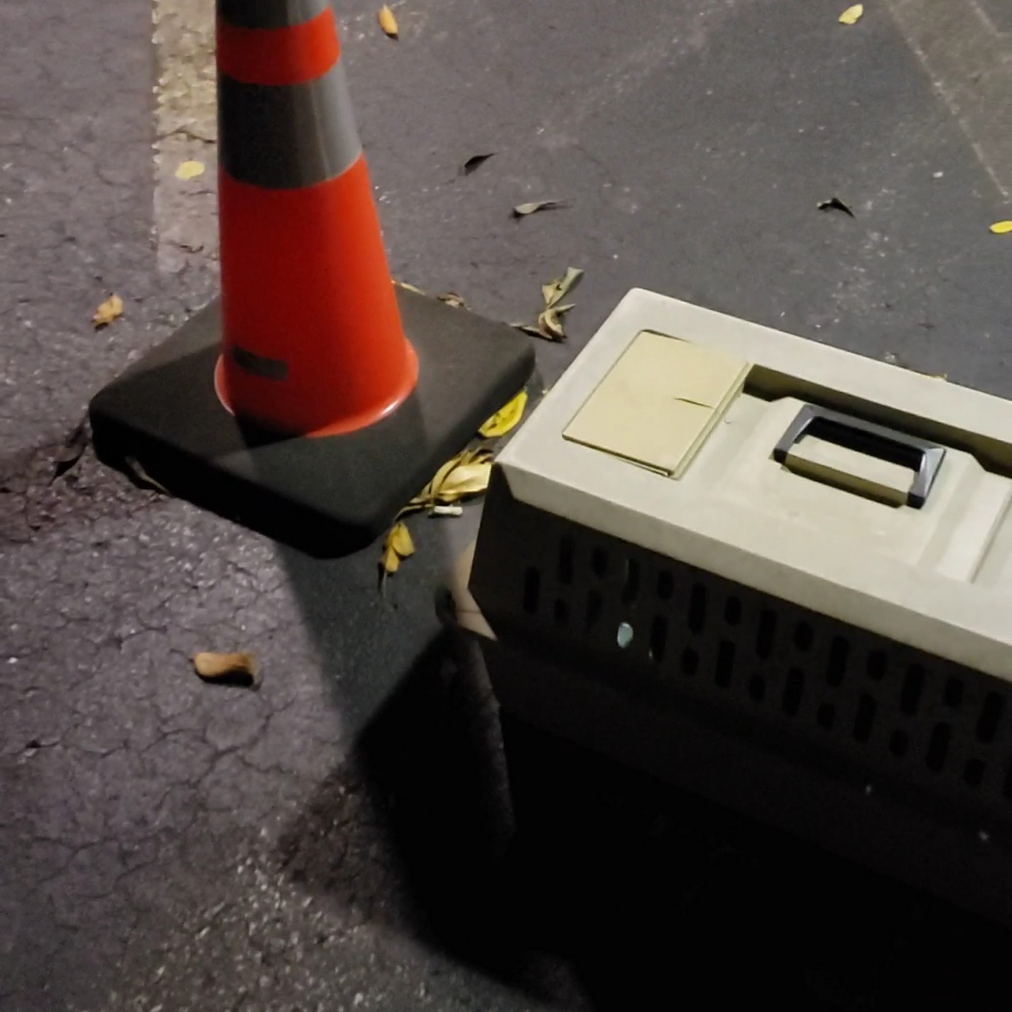 Humane Fort Wayne Wellness Clinic Fort Wayne