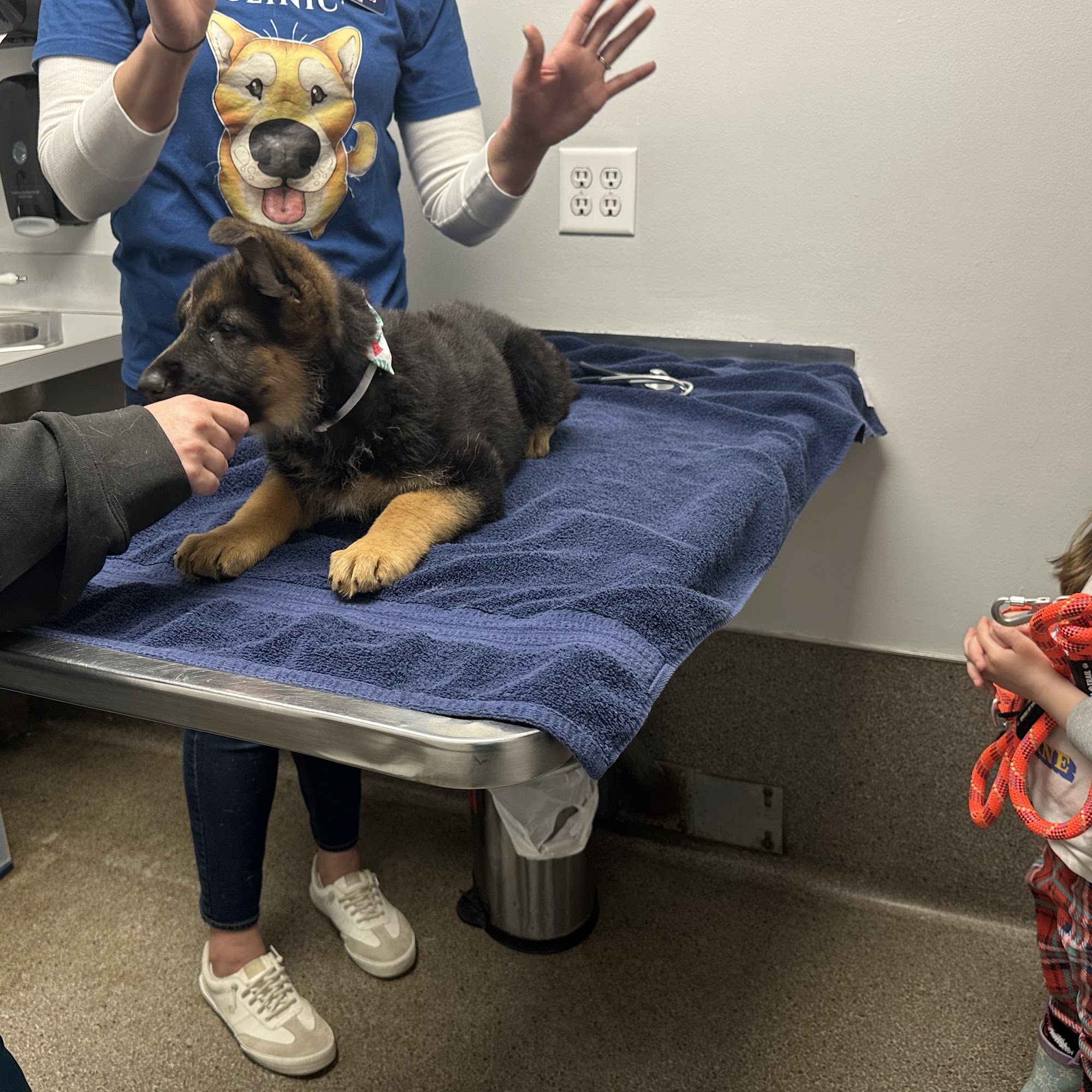 Anthony Animal Clinic Fort Wayne