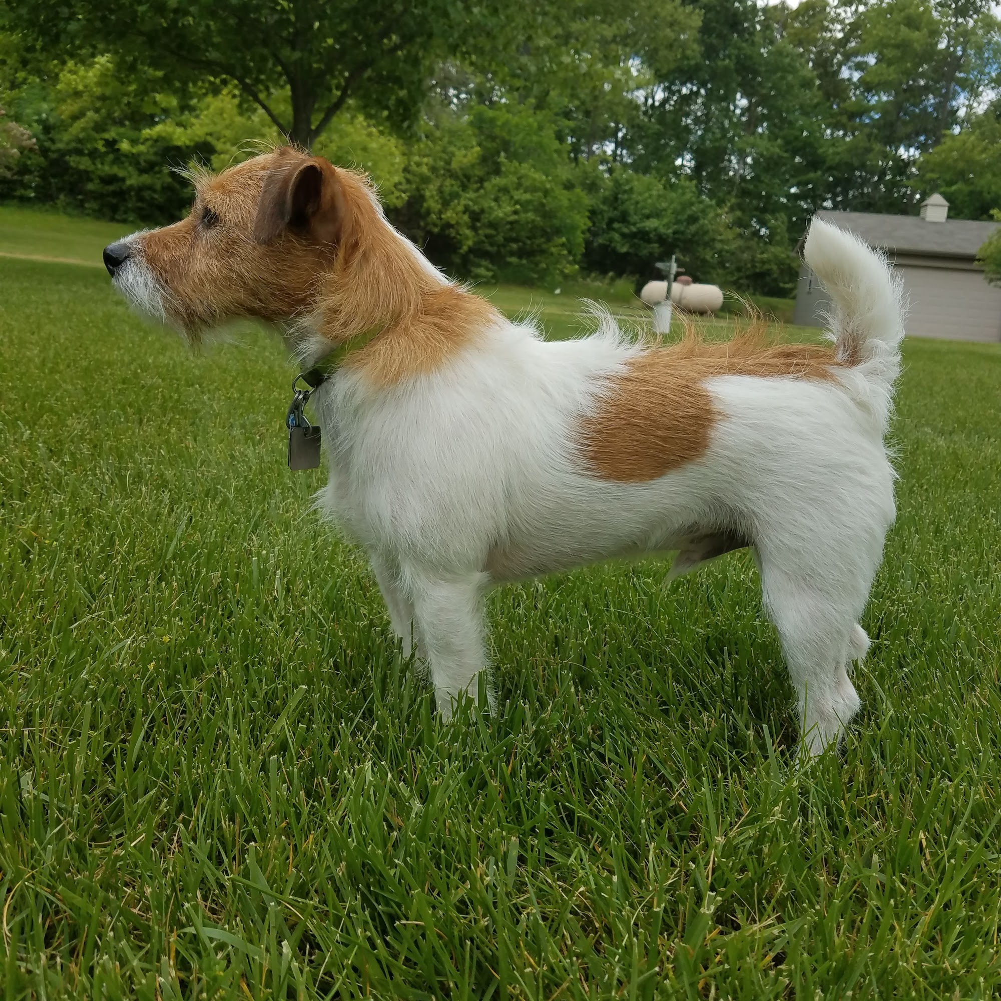 Martin Marcus w DVM Fort Wayne