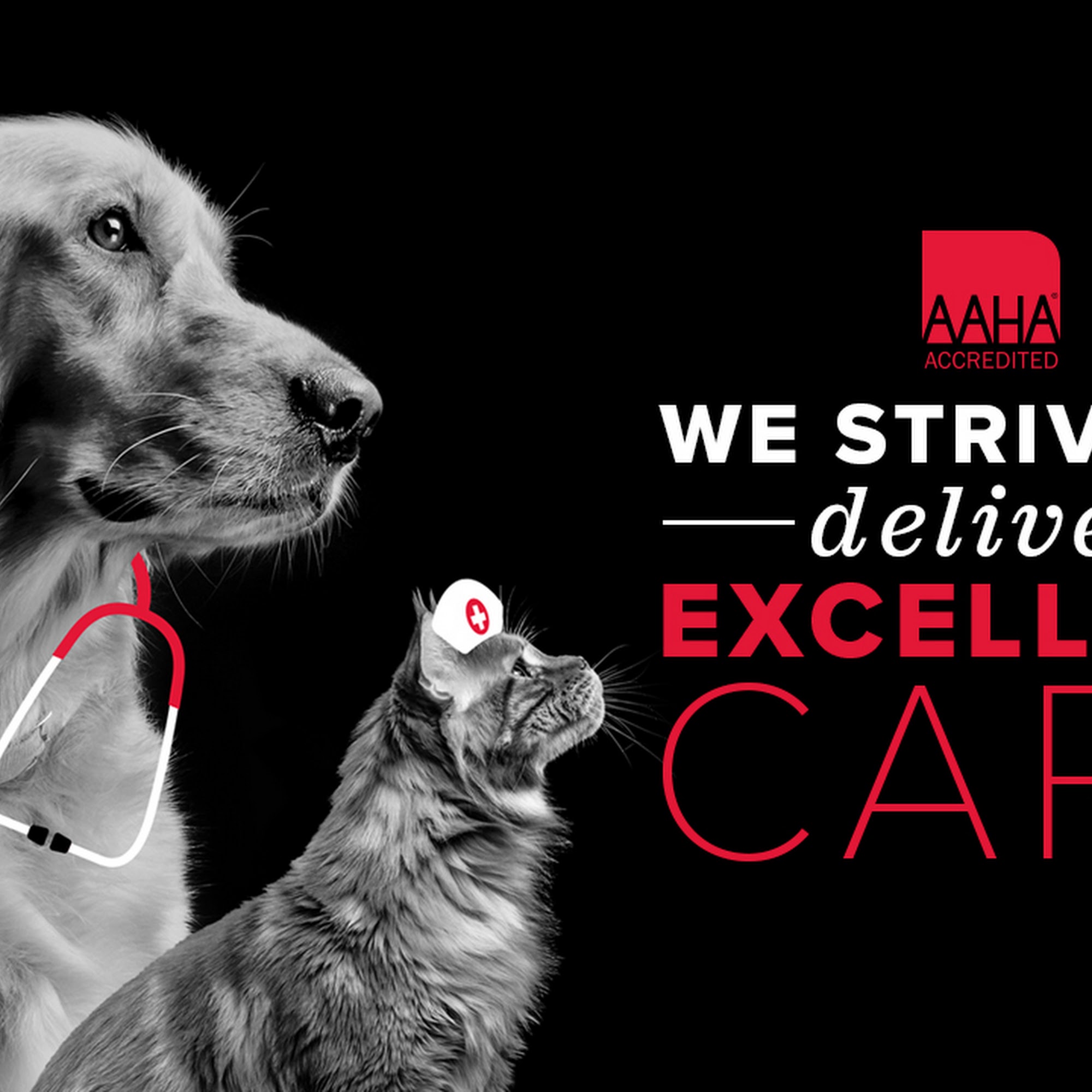 Aboite Animal Hospital at Illinois Road Fort Wayne