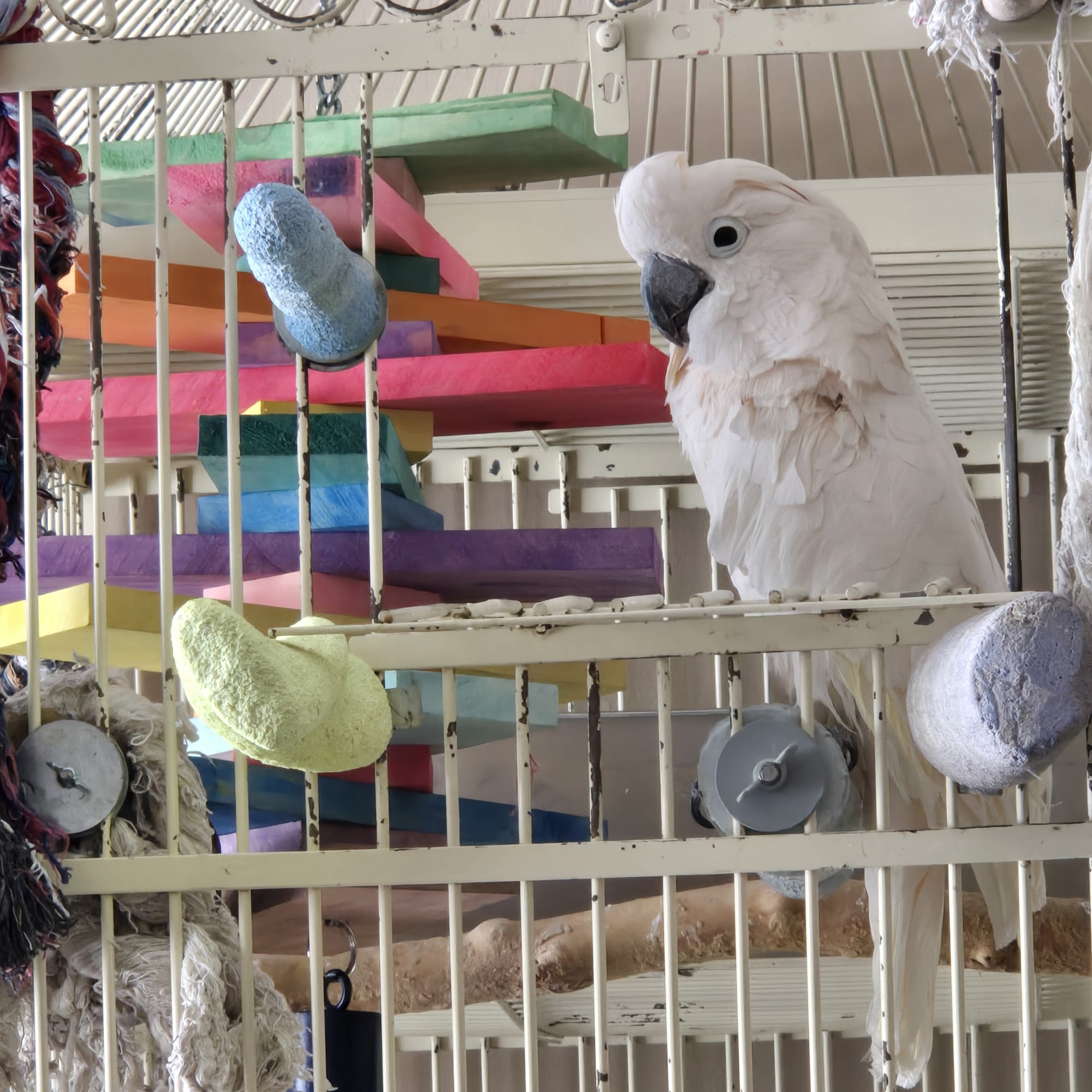 Dupont Veterinary Clinic Fort Wayne