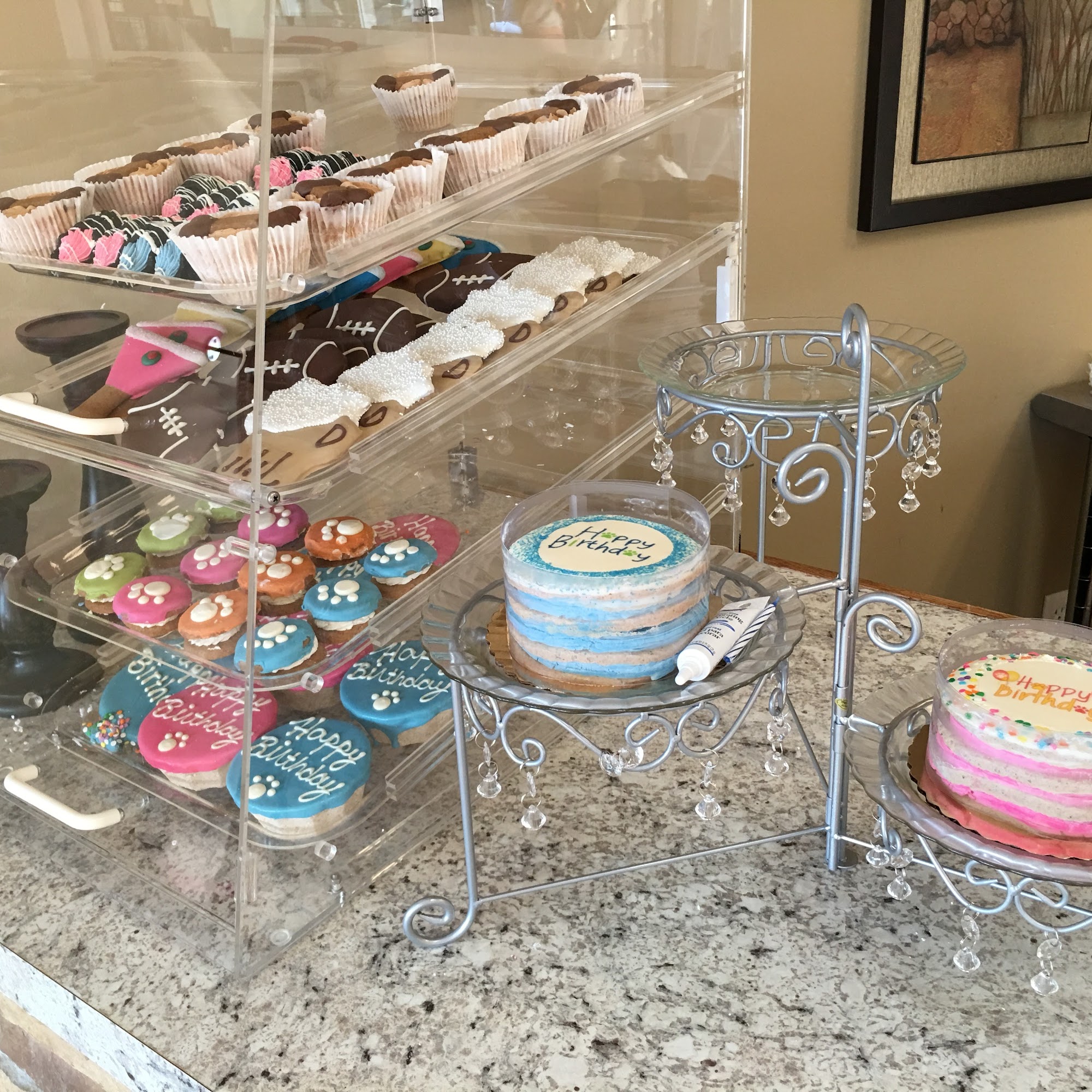 Pawsh Pets Grooming & Bakery Fort Wayne