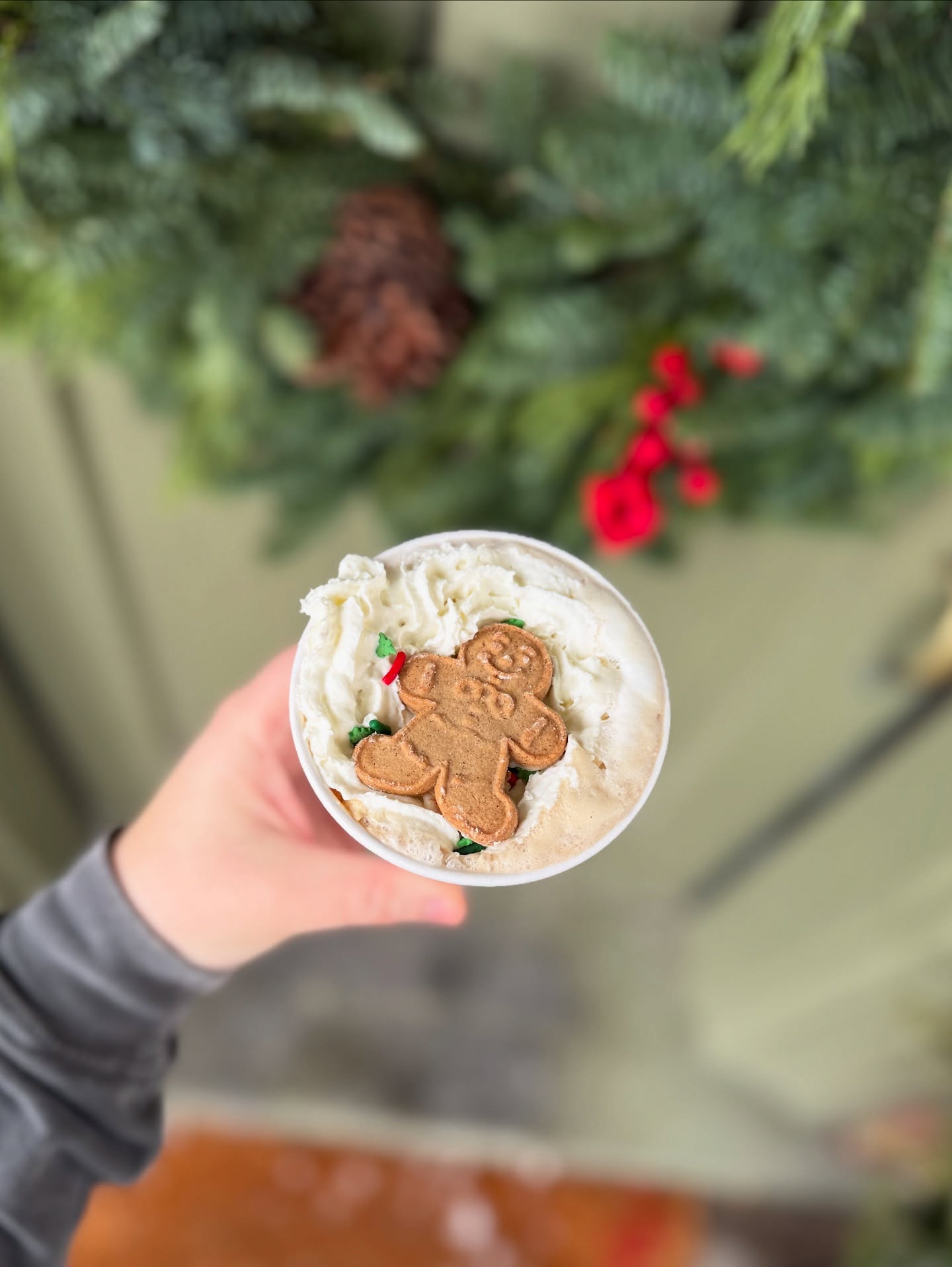 Ophelia's Fort Wayne