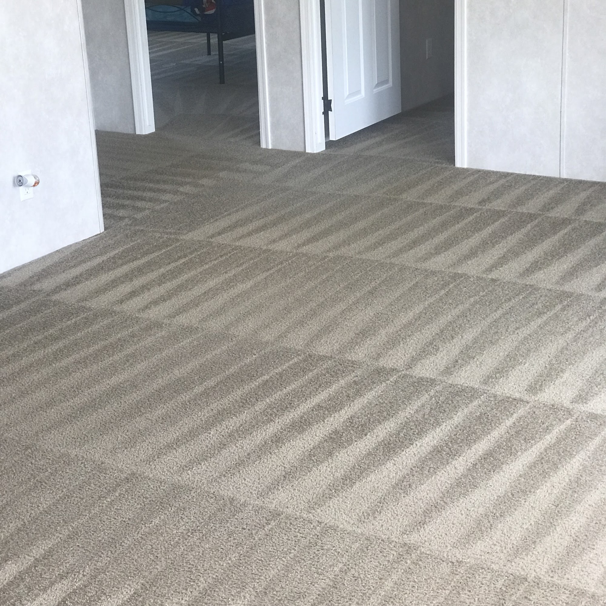 Professional Carpet Cleaning