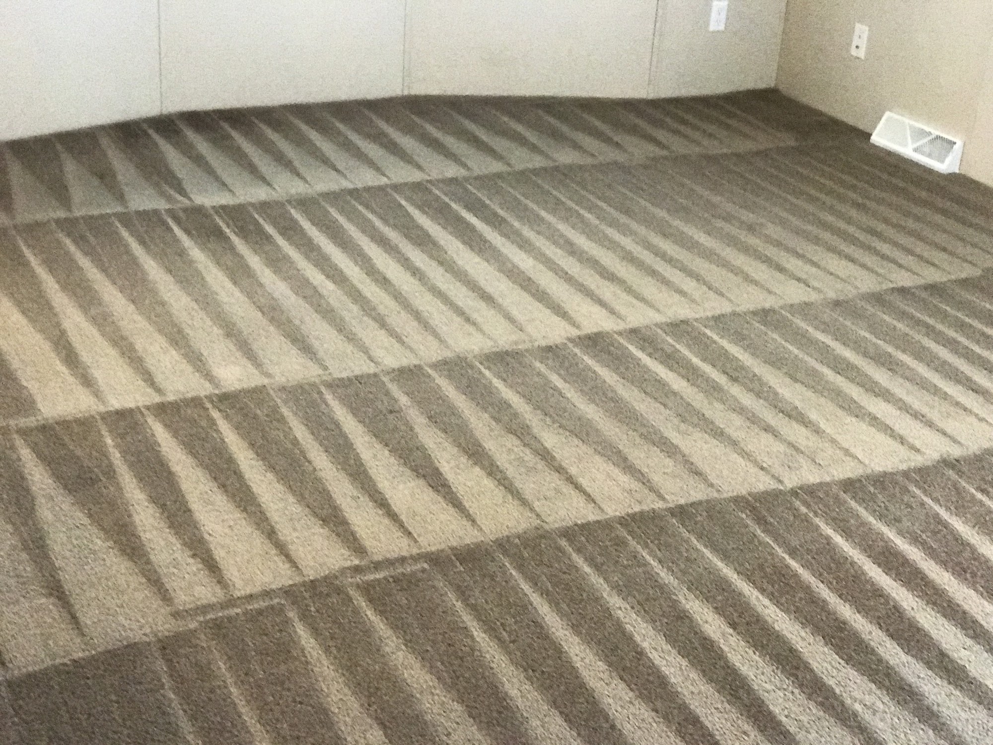 Professional Carpet Cleaning