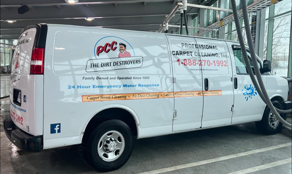 Professional Carpet Cleaning