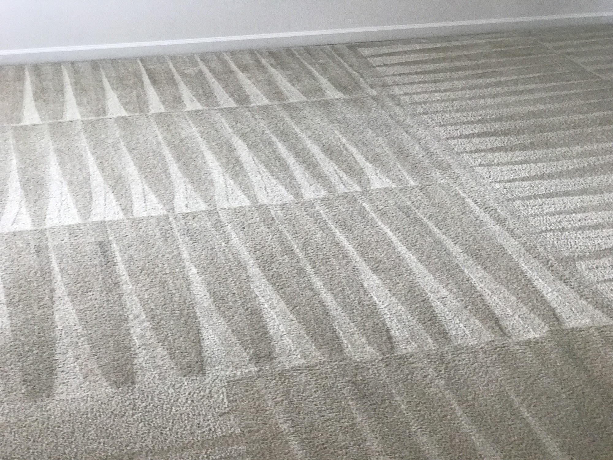 Professional Carpet Cleaning
