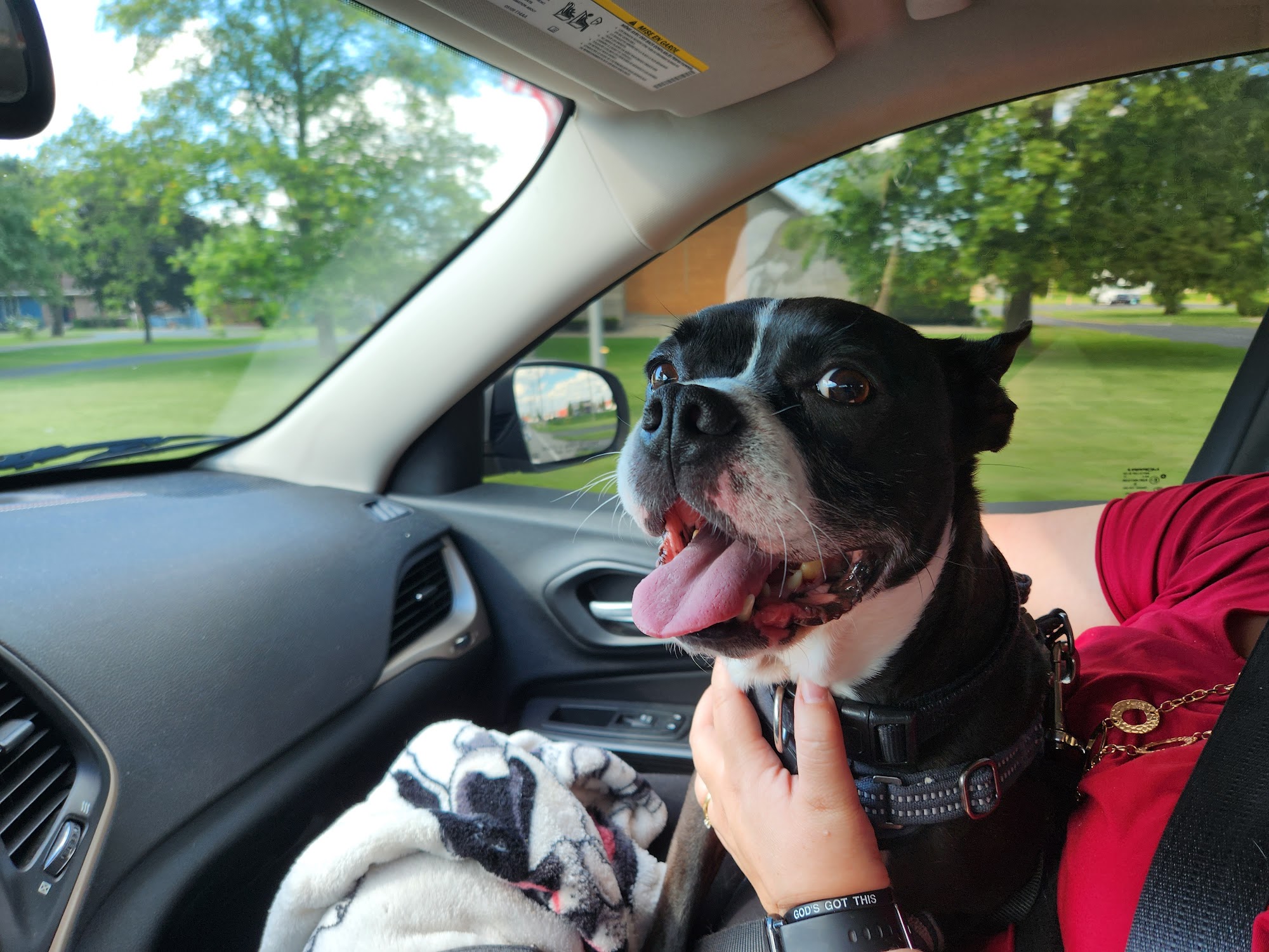 Franklin Animal Clinic Franklin