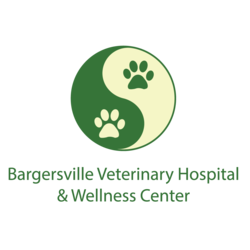 Bargersville Veterinary Hospital & Wellness Center, A Thrive Pet Healthcare Partner Franklin