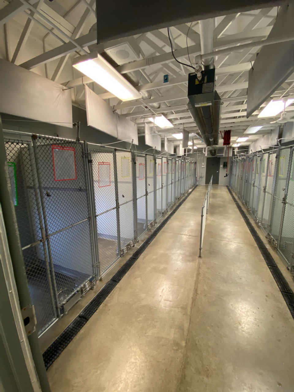 Johnson County Animal Shelter Franklin