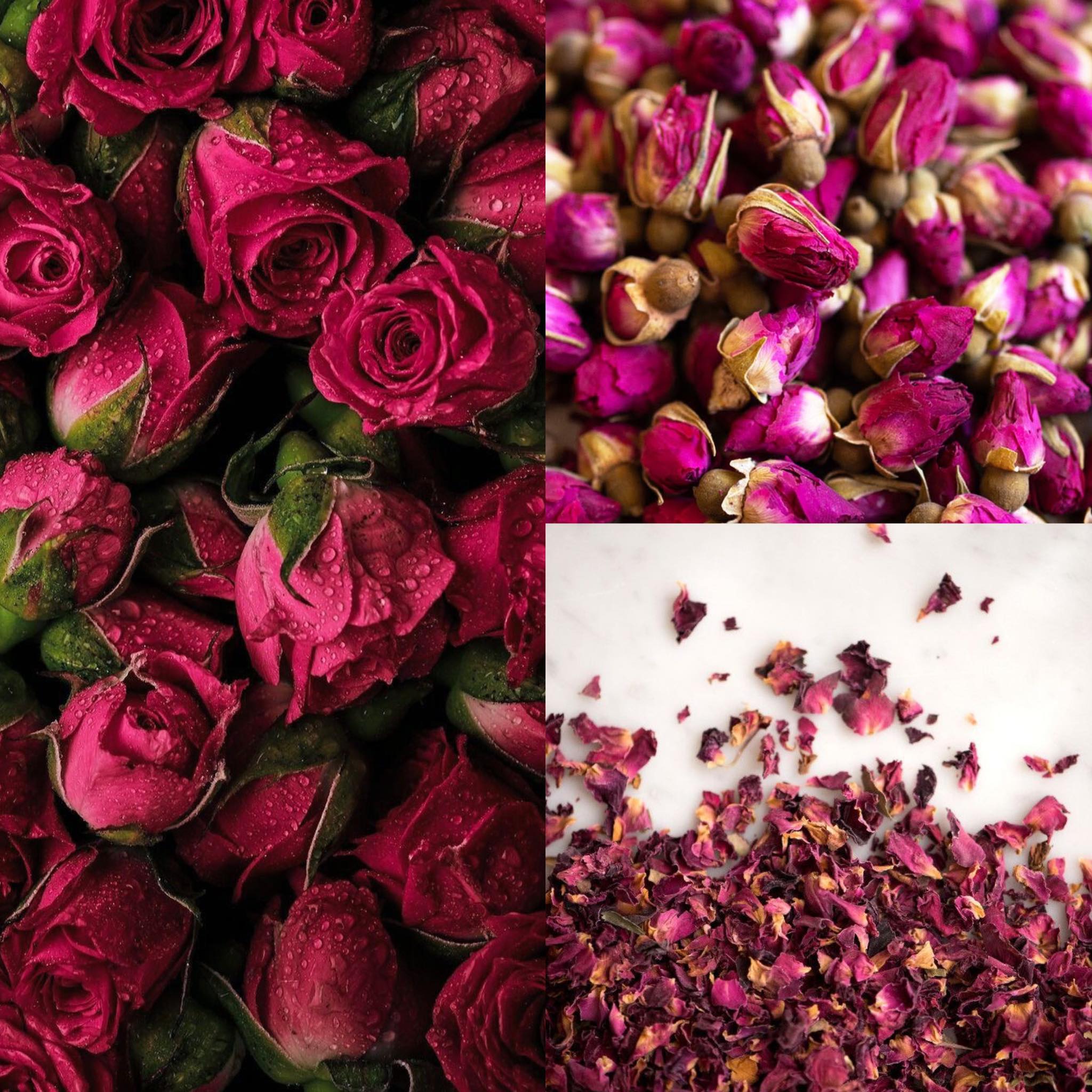 Vibrations Health, Wellness And Juice Bar Gary