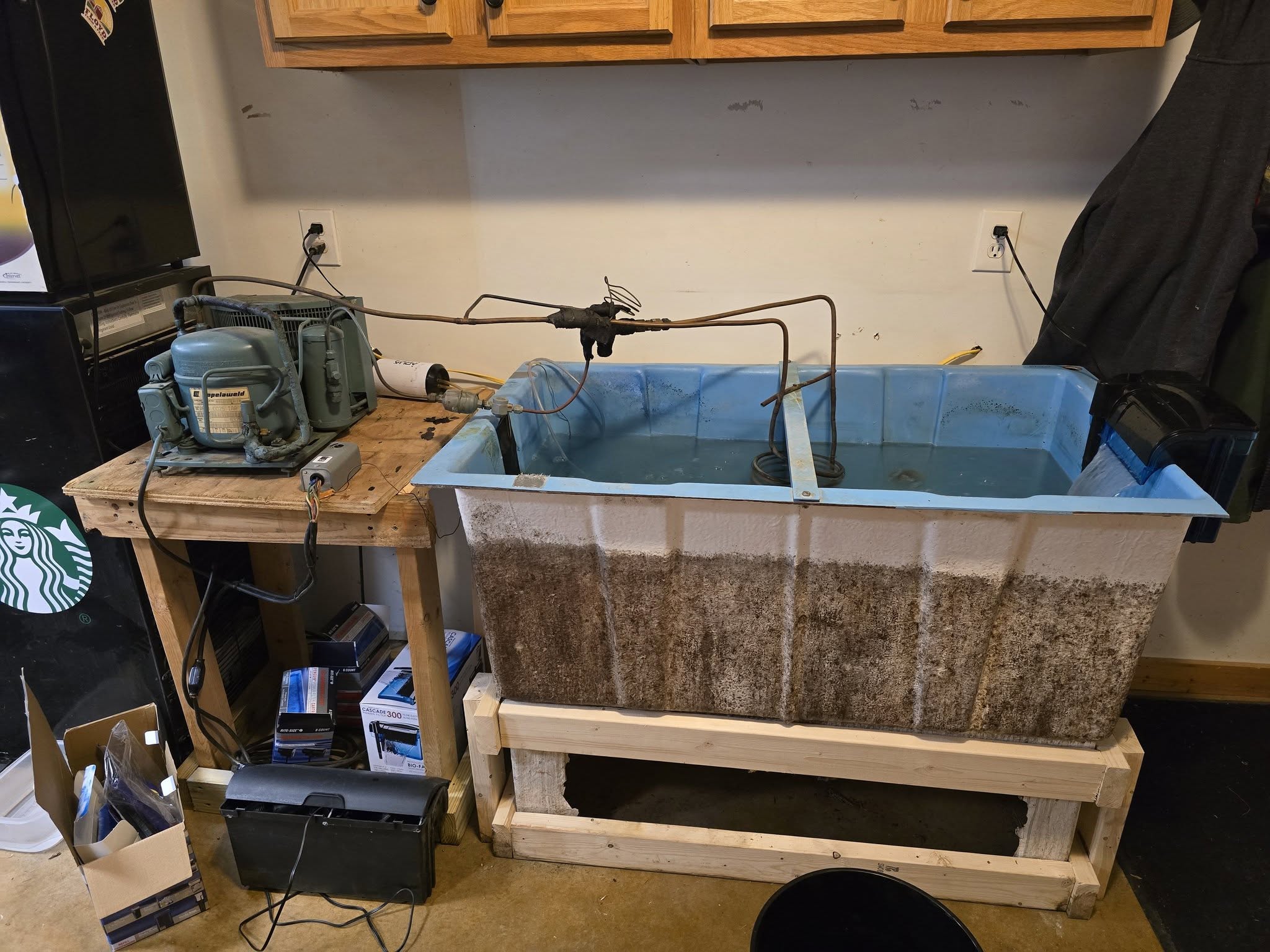 Floyd Farm & Feed Georgetown