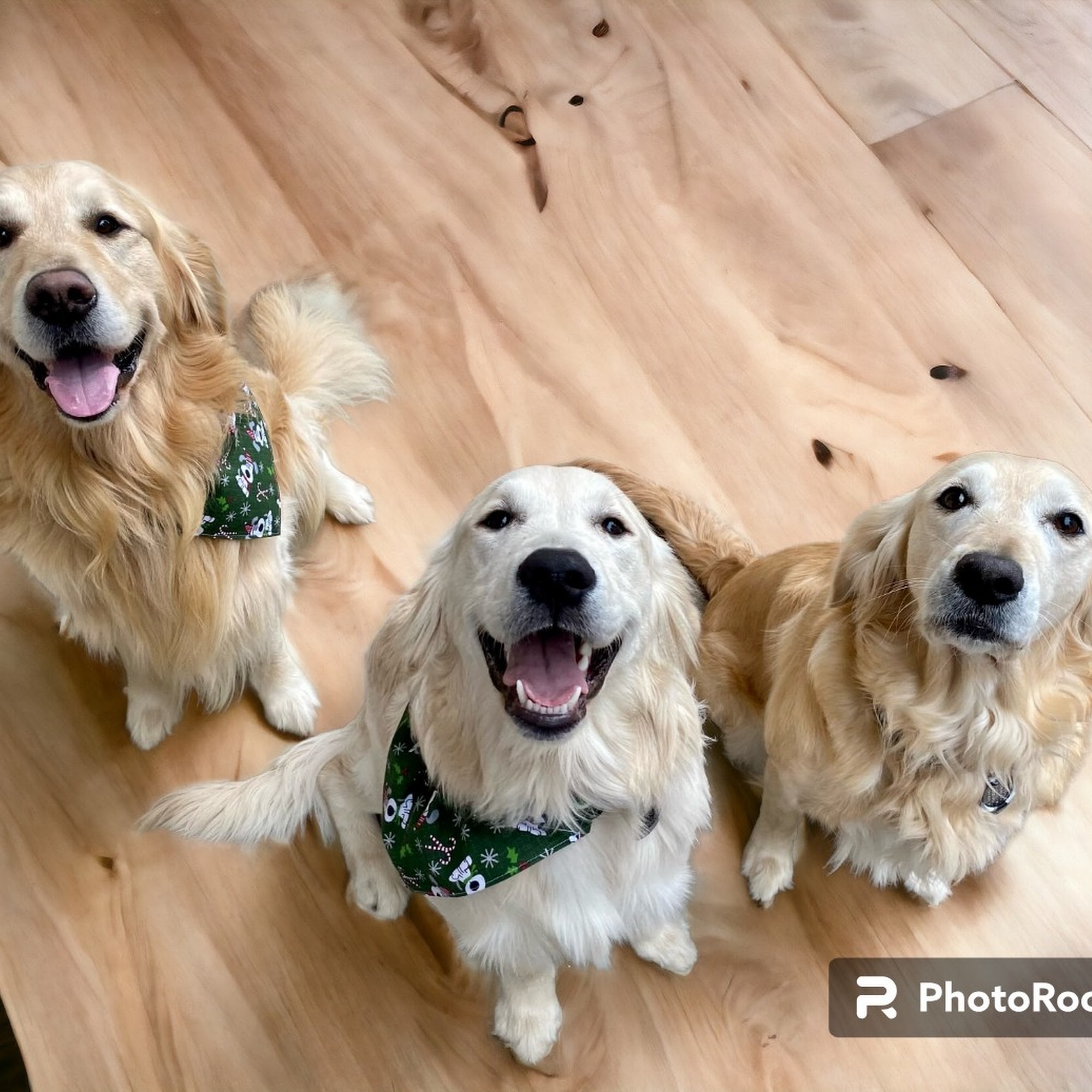 White Veterinary Hospital Goshen