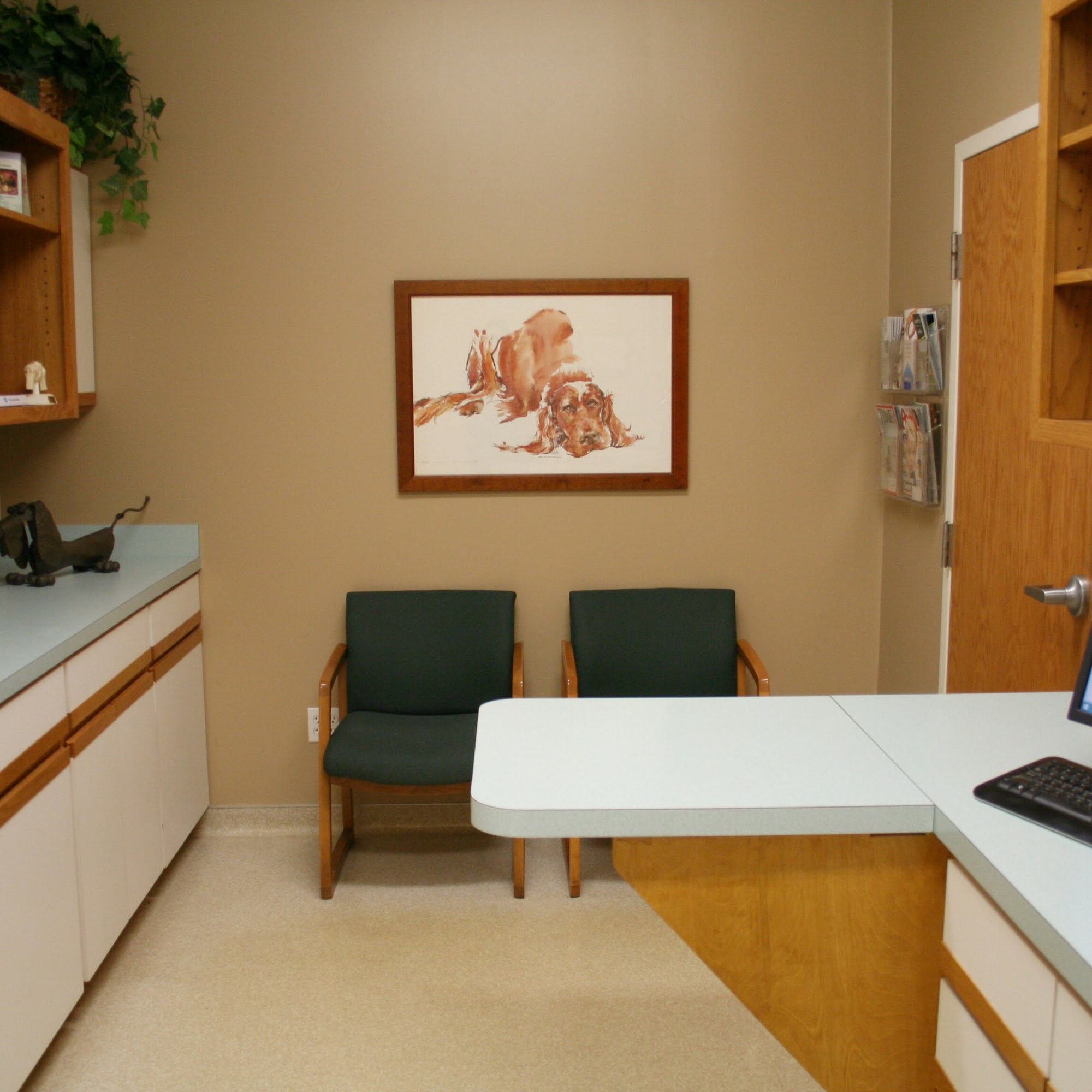 Morris Animal Hospital Granger