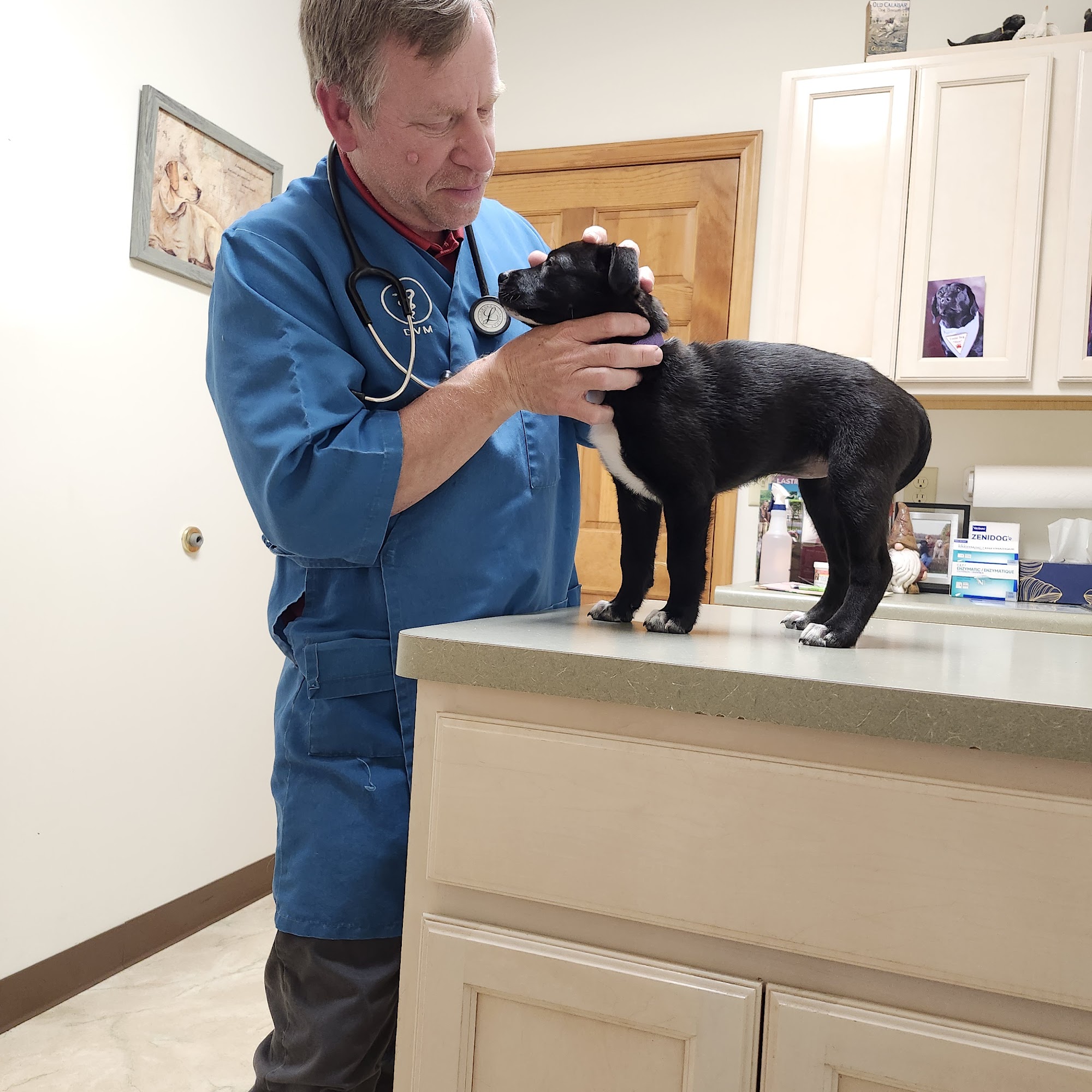 Greencastle Veterinary Clinic Greencastle