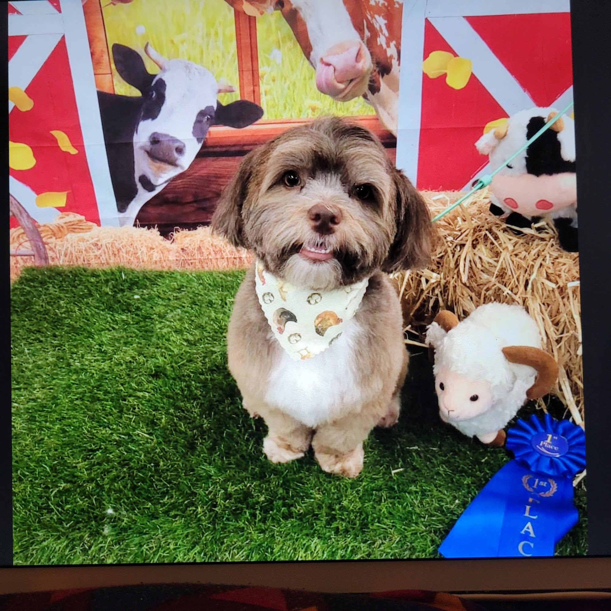 Greenfield Veterinary Clinic Greenfield