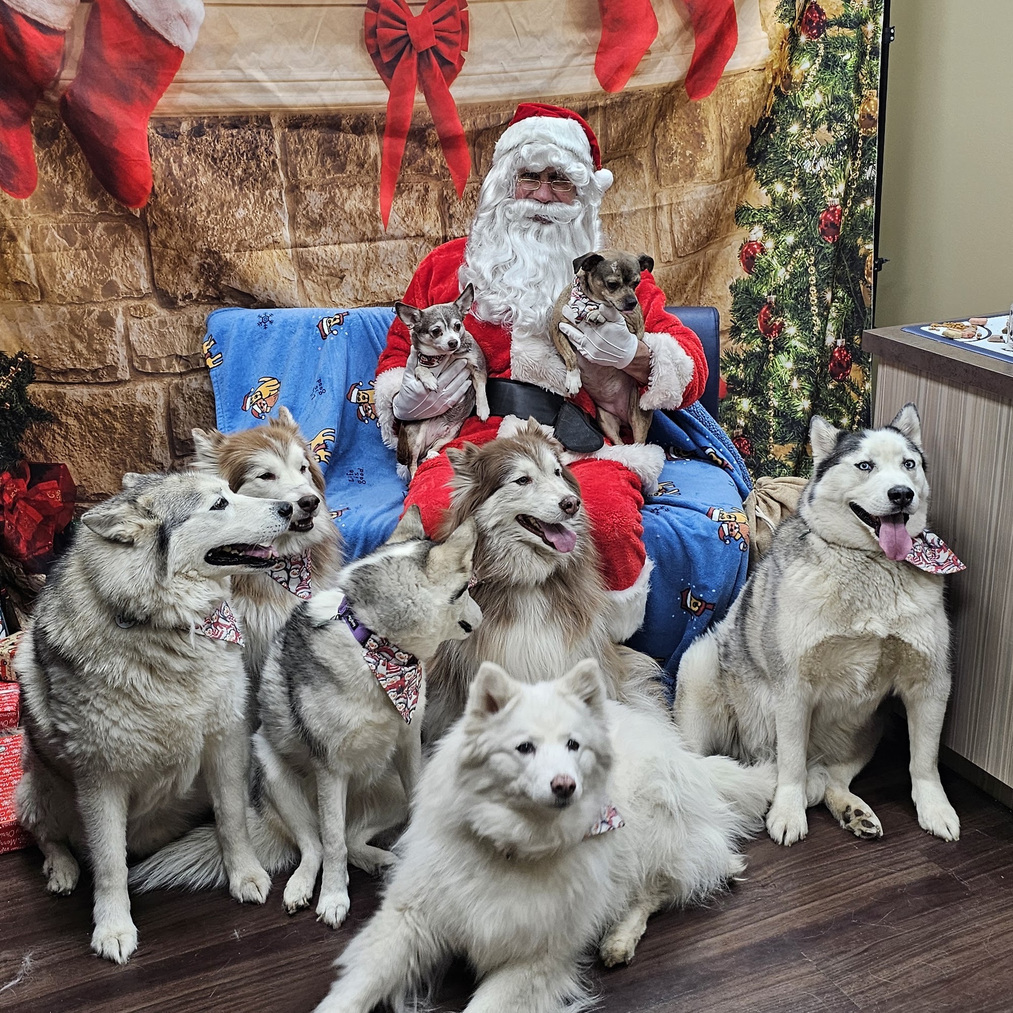 Meridian Veterinary Clinic & Hospital Greenwood