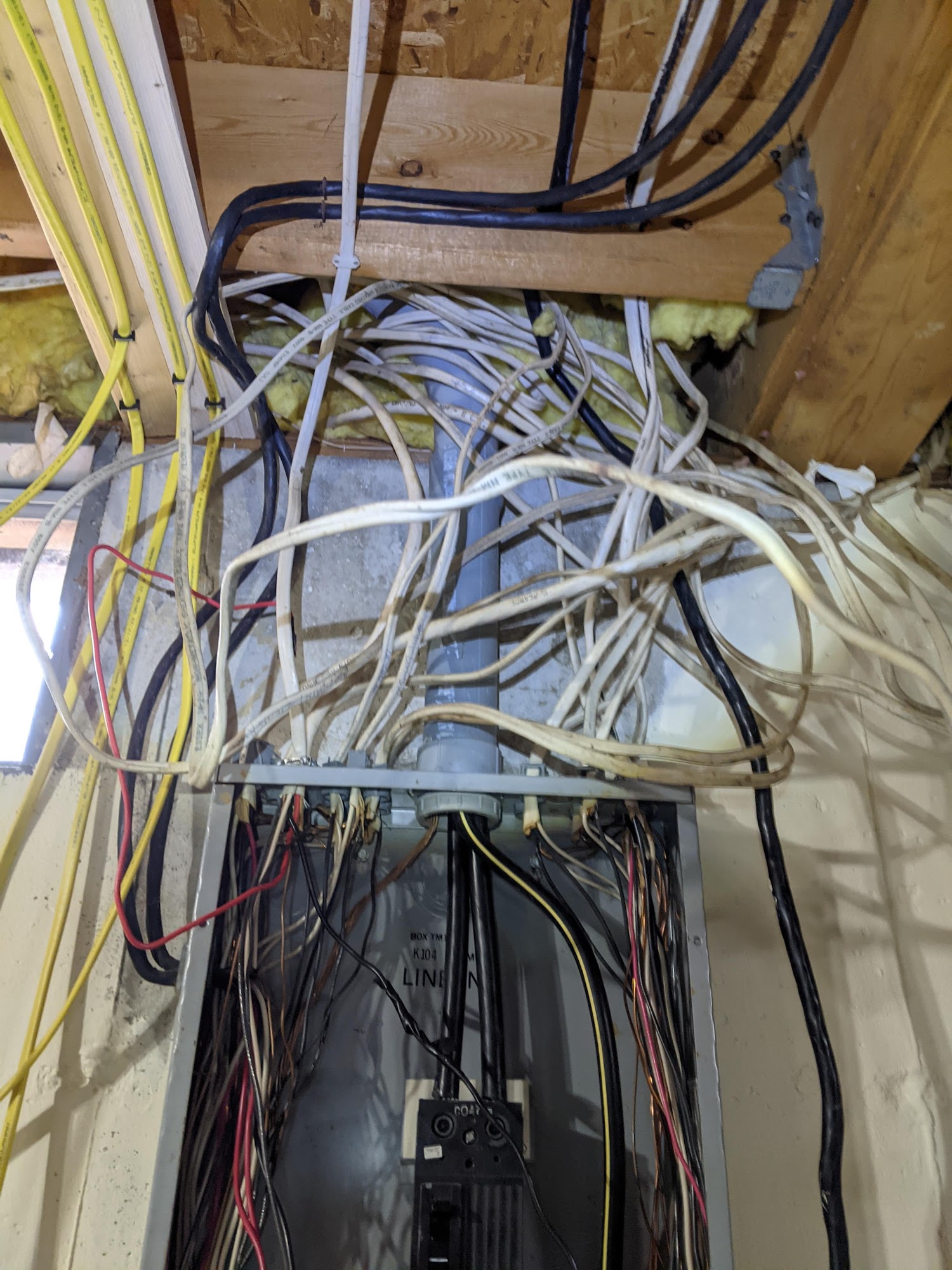 Dragonfly Renovation