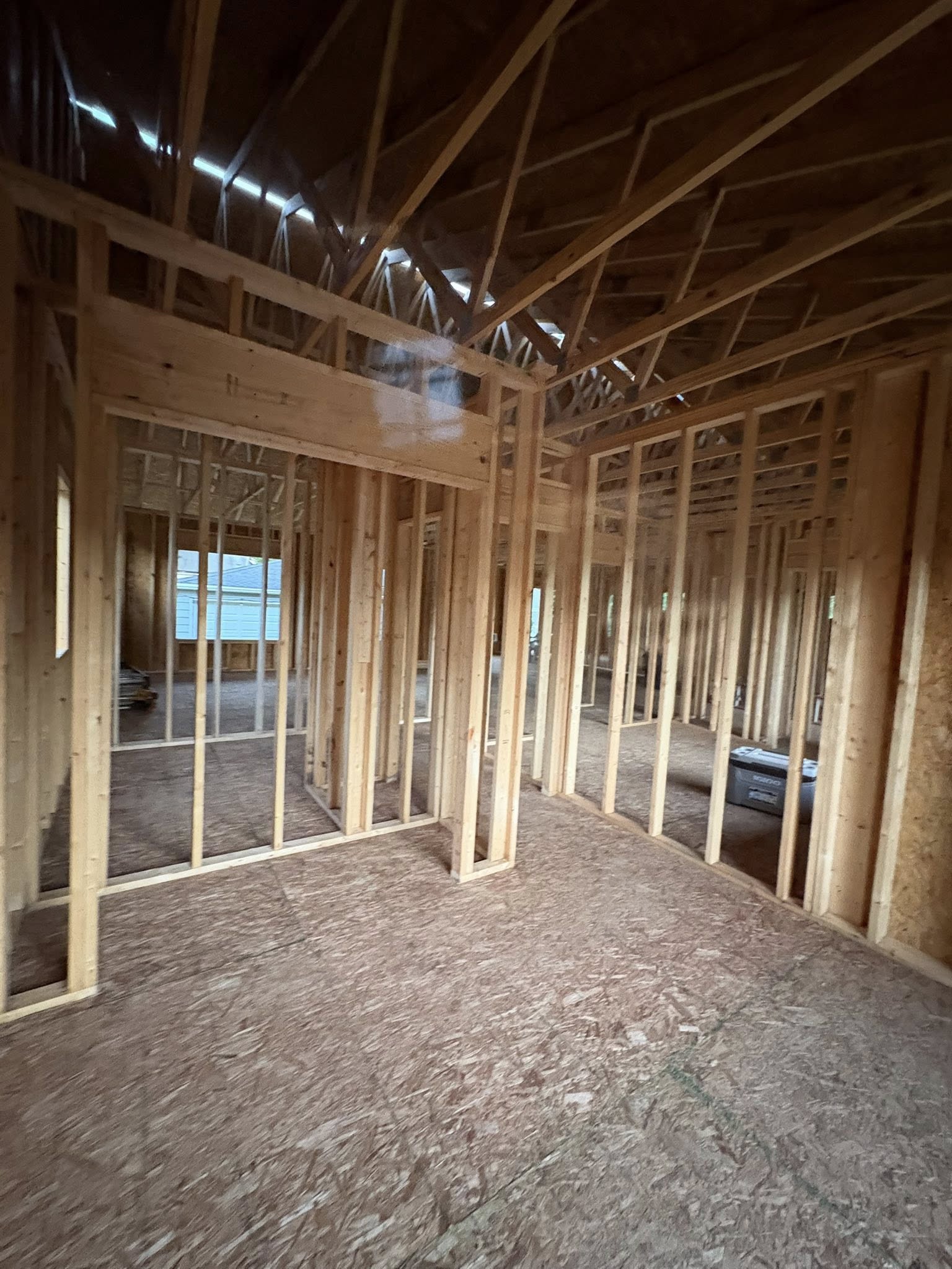 Dragonfly Renovation