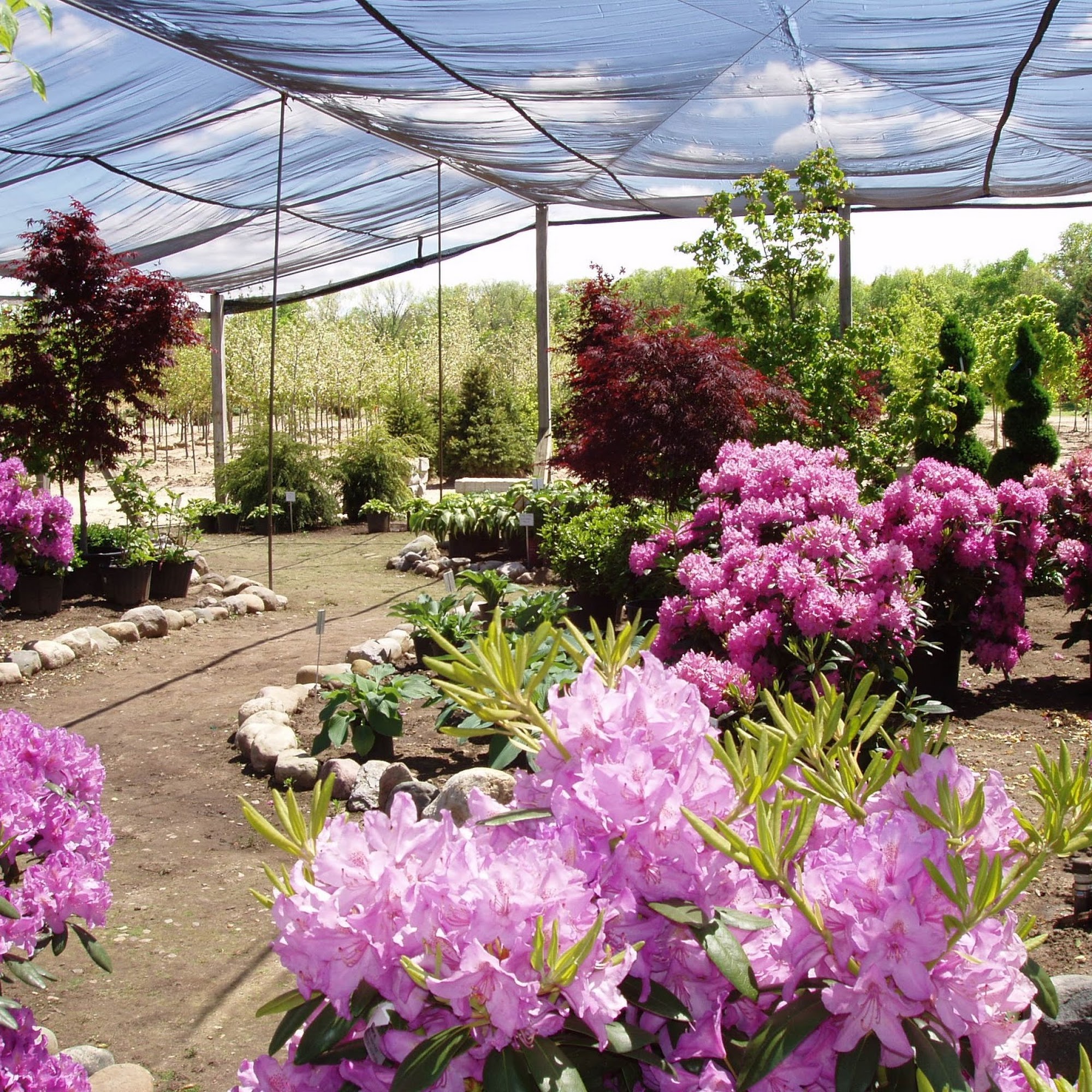 Franz Nursery Inc Hamilton