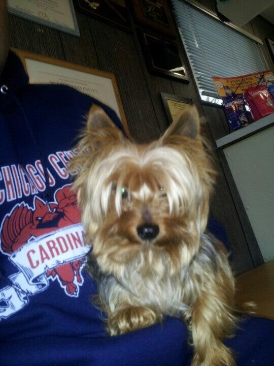 Hammond Pet Hospital Hammond