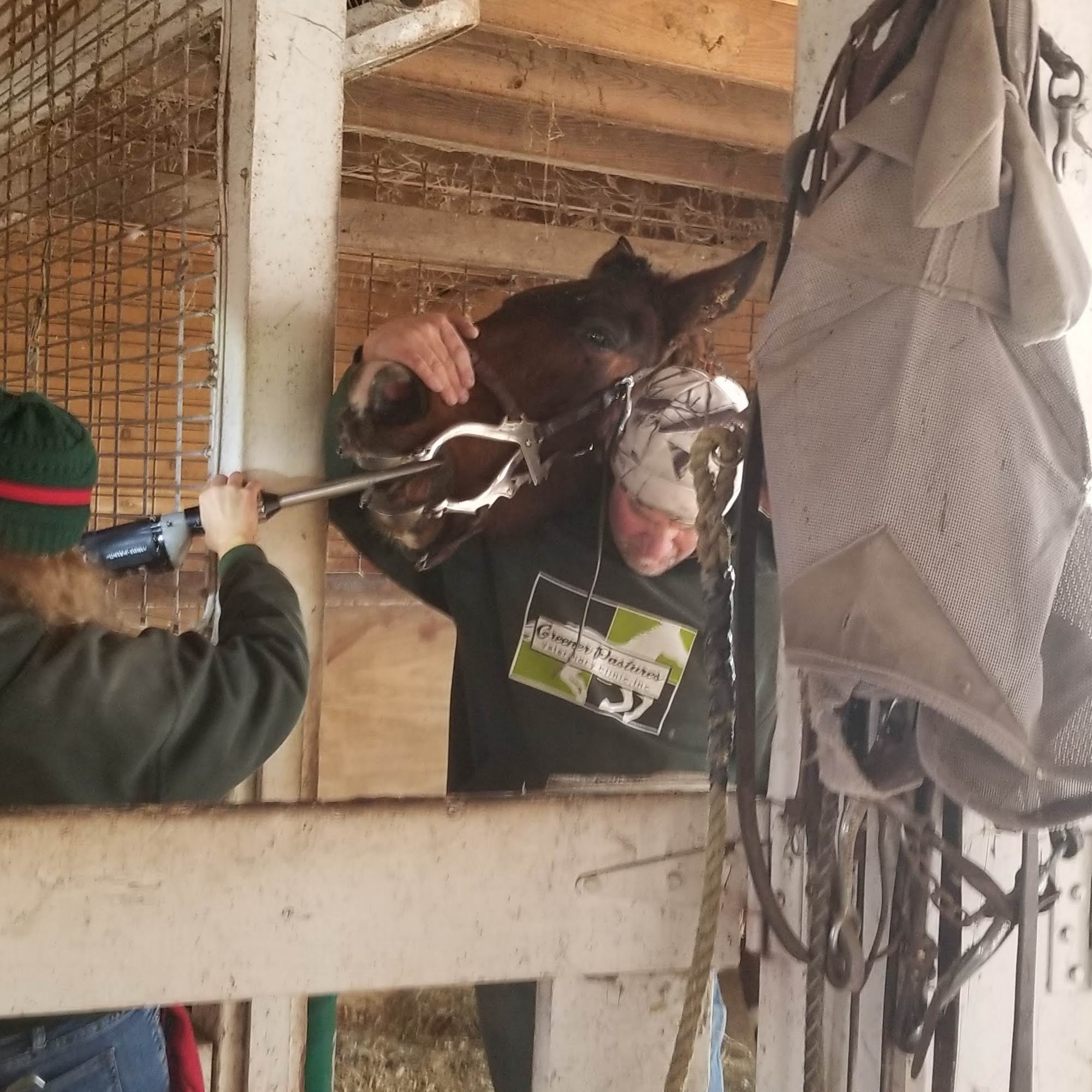 Greener Pastures Vet Clinic Hebron