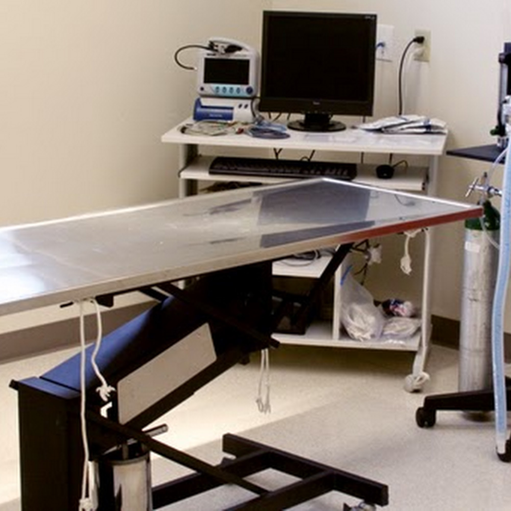 Emergency Veterinary Care Centers Highland