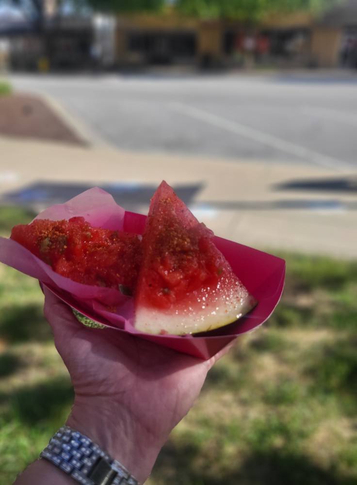 One Dog At A Time Grooming Salon Highland